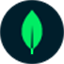 MongoDB数据库-一个基于分布式文件存储的数据库,适用于现代应用程序
