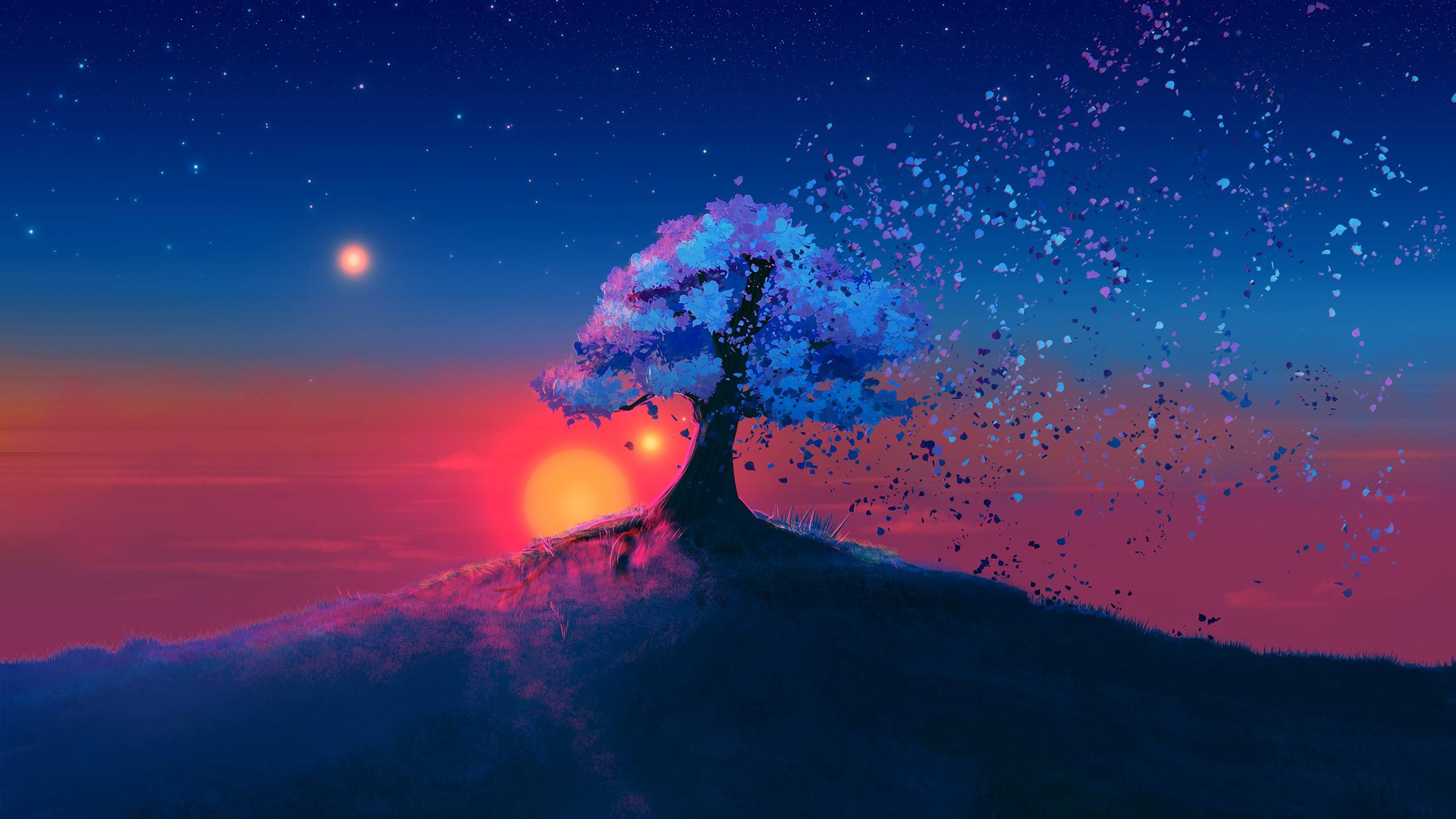 风景