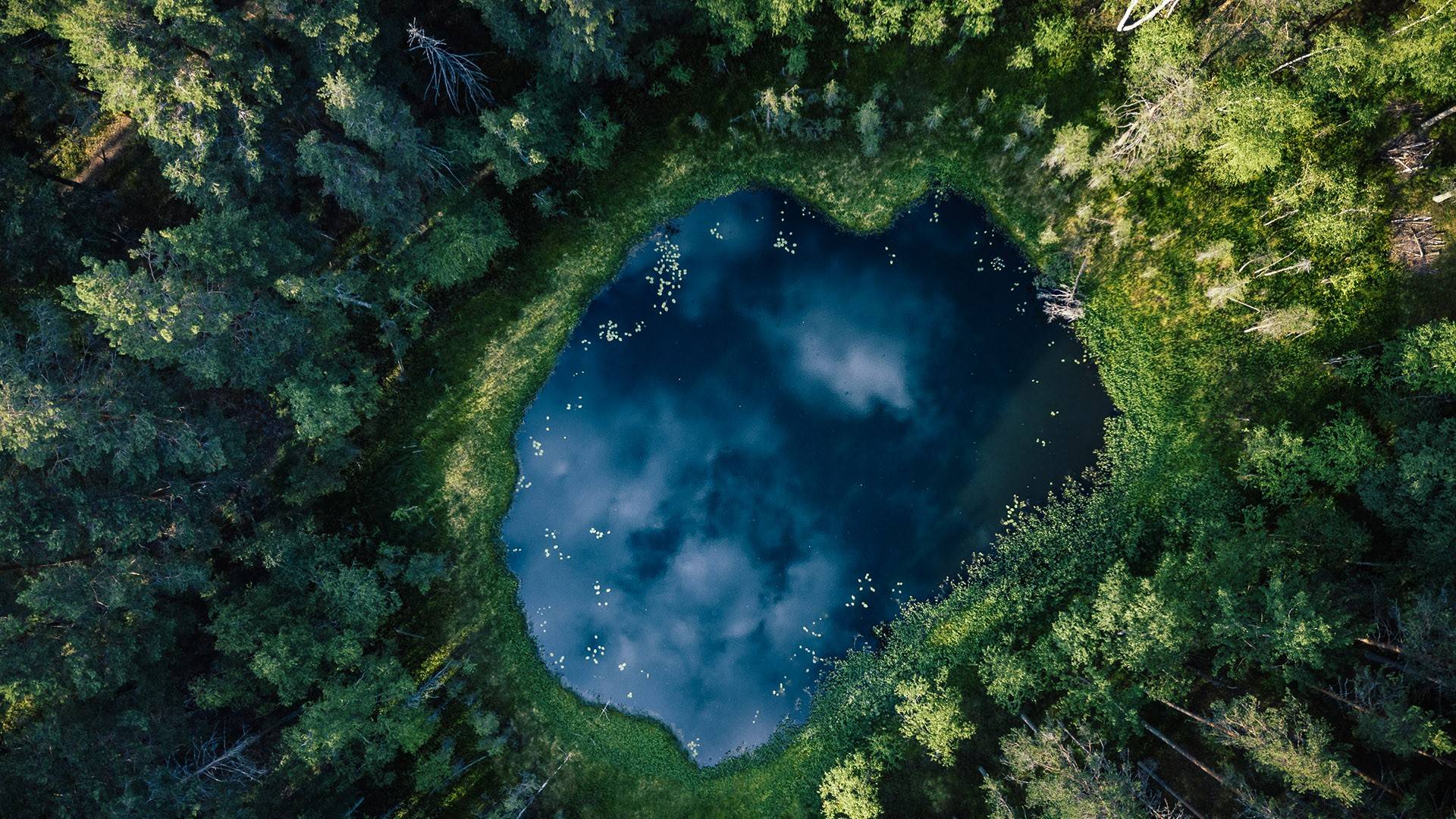 风景