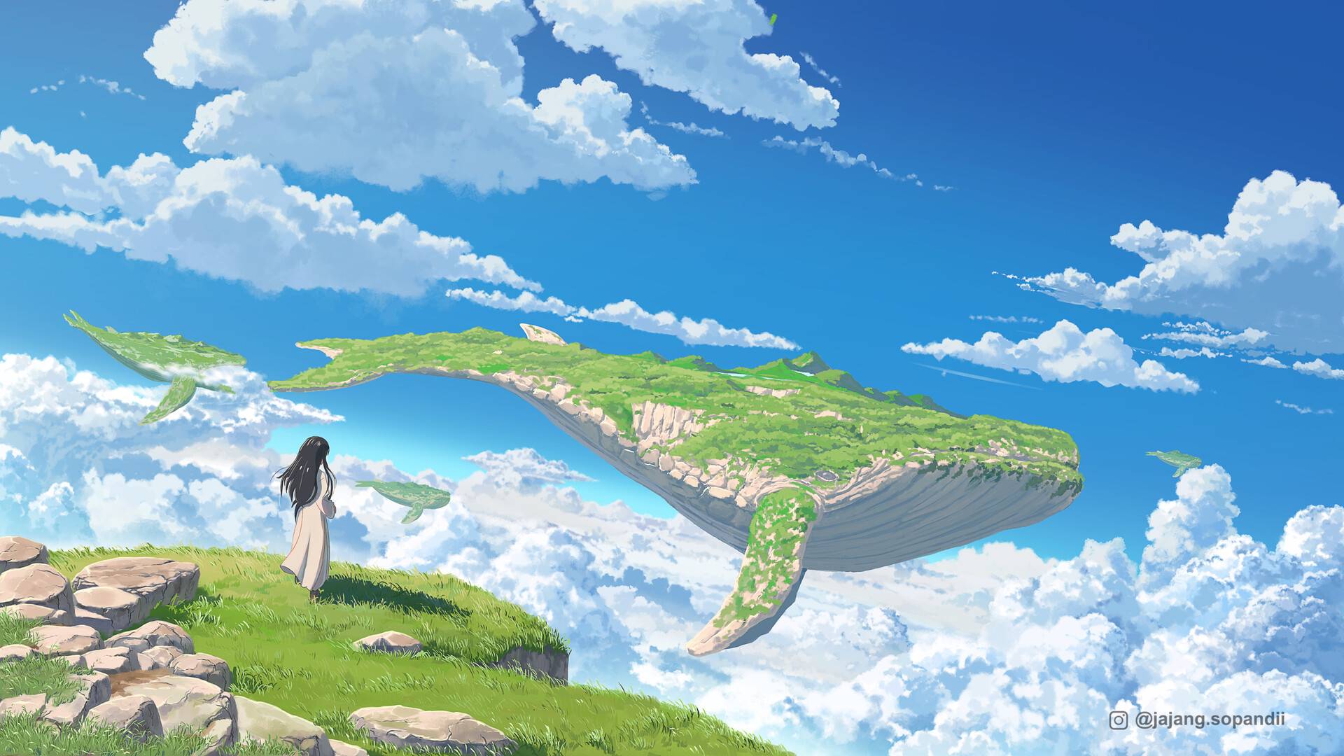 风景