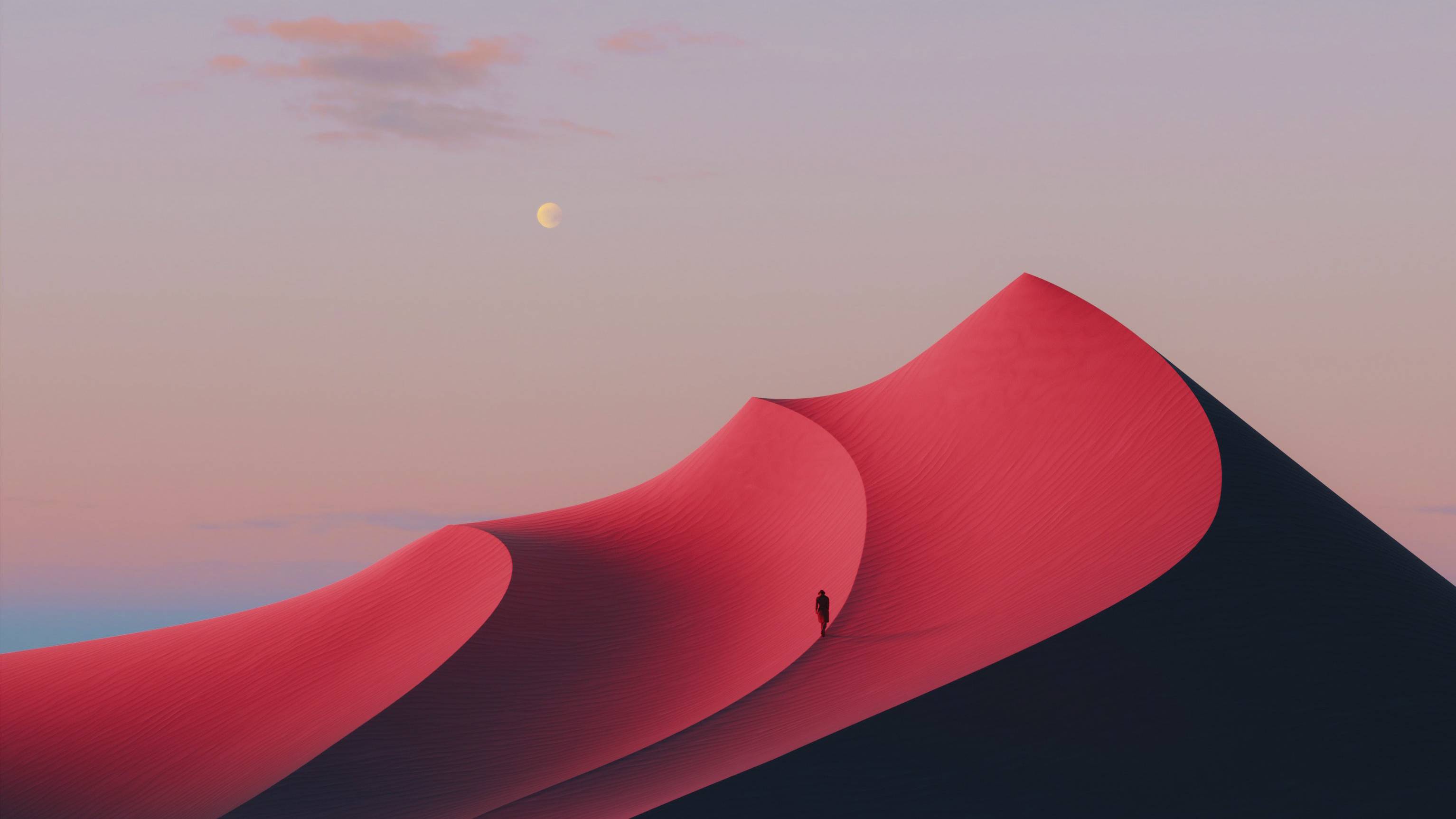 风景