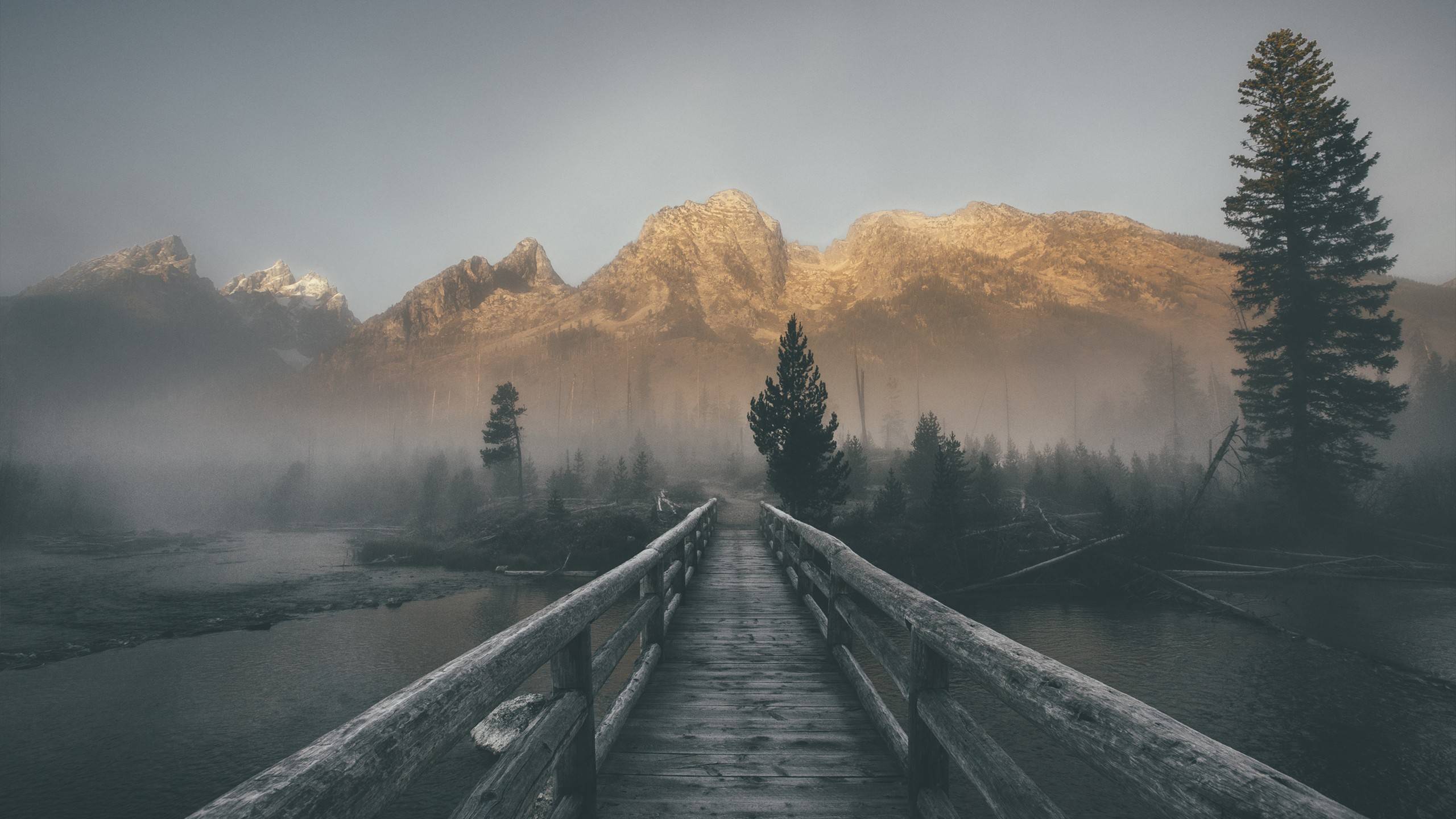 风景