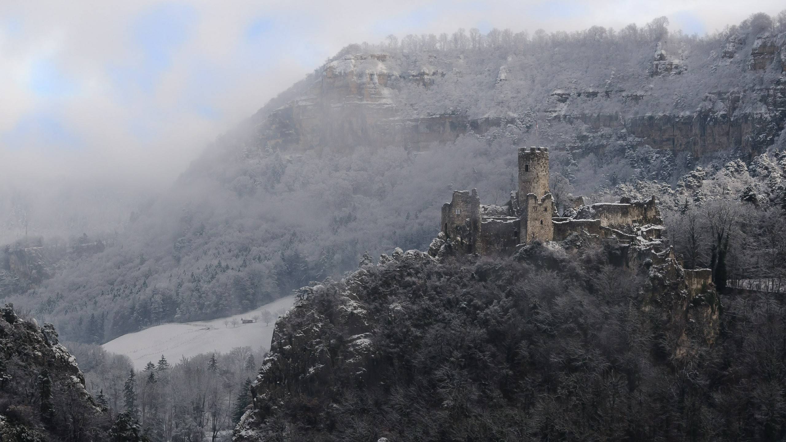 风景