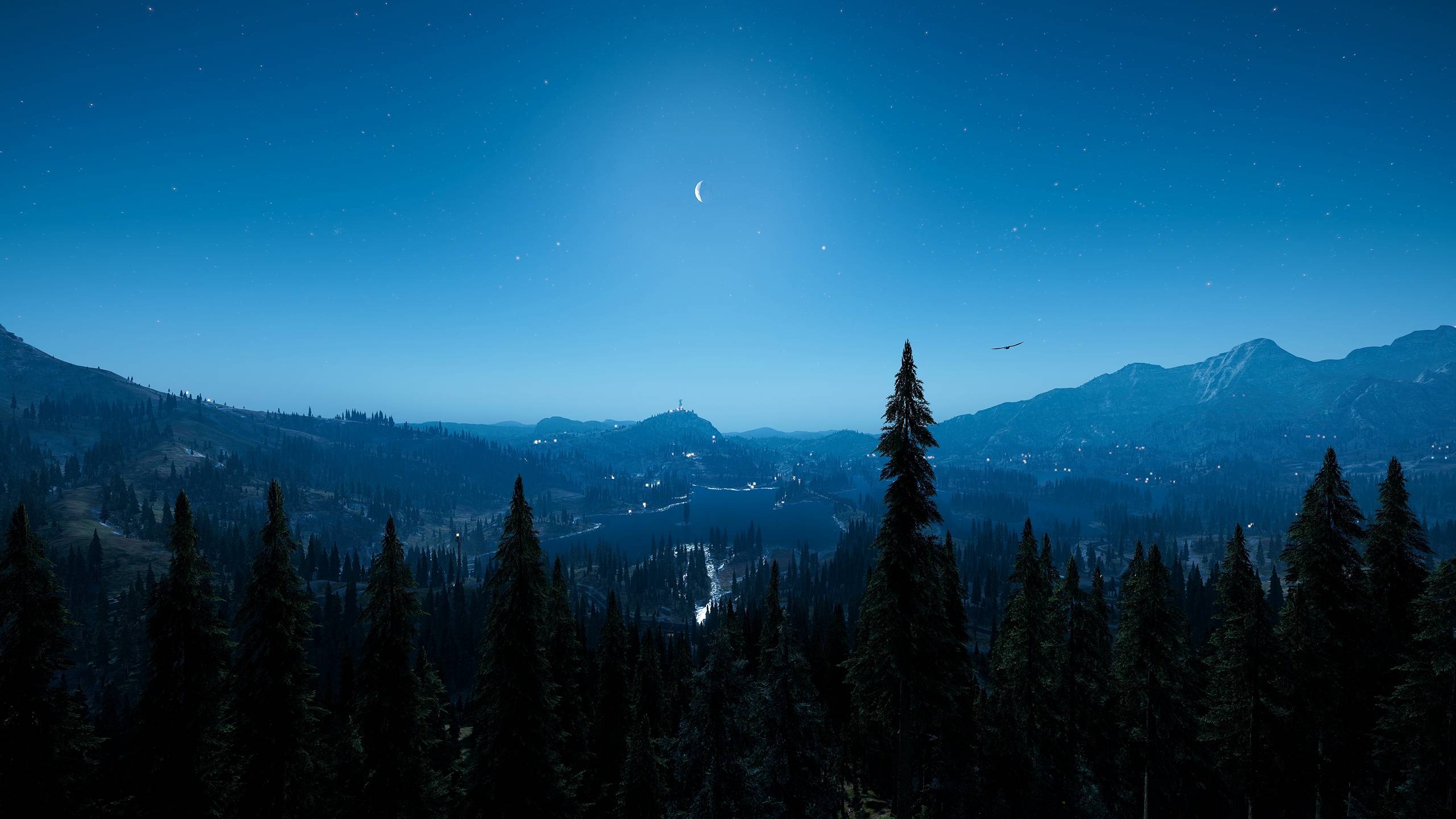 风景