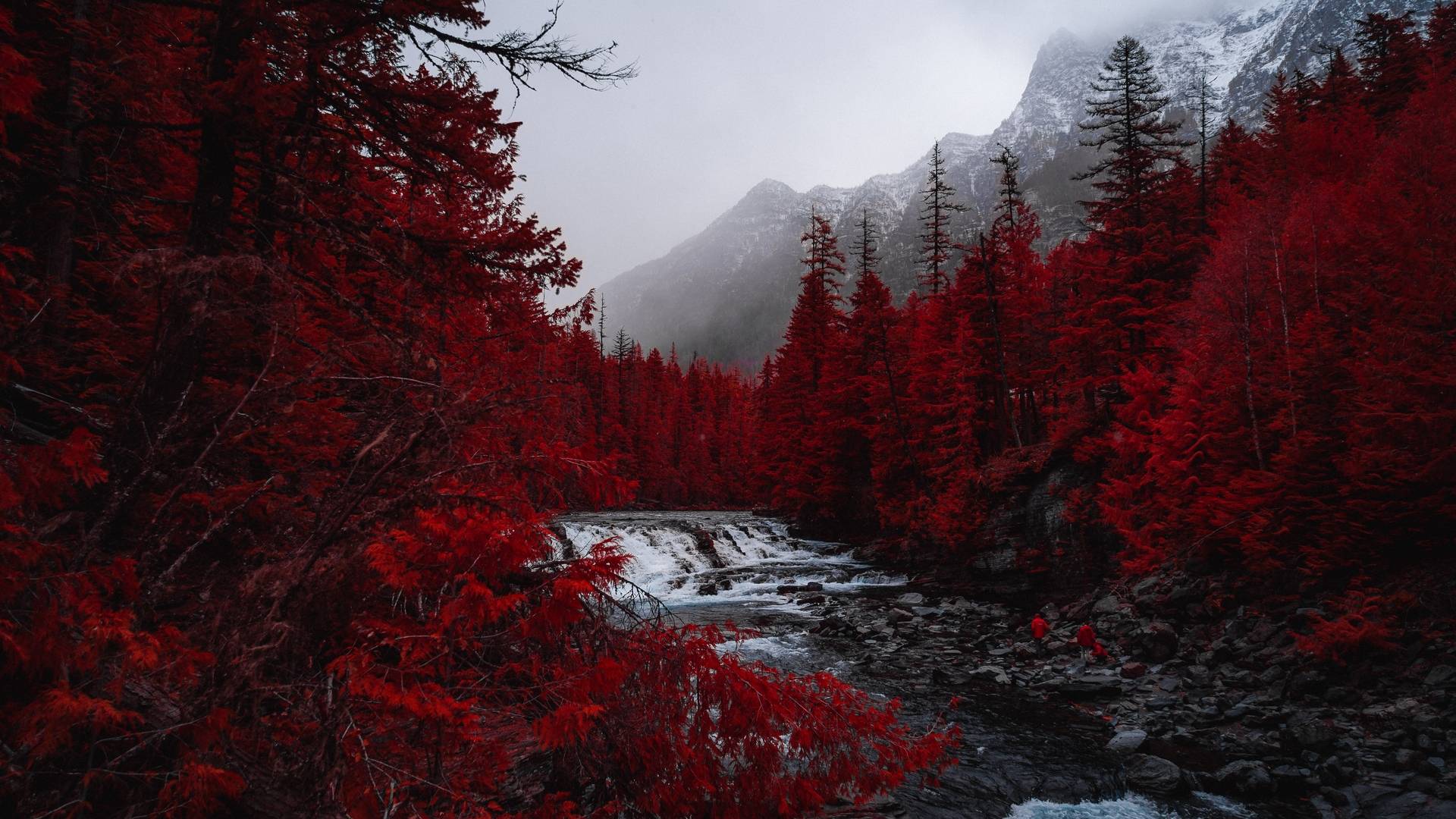 风景