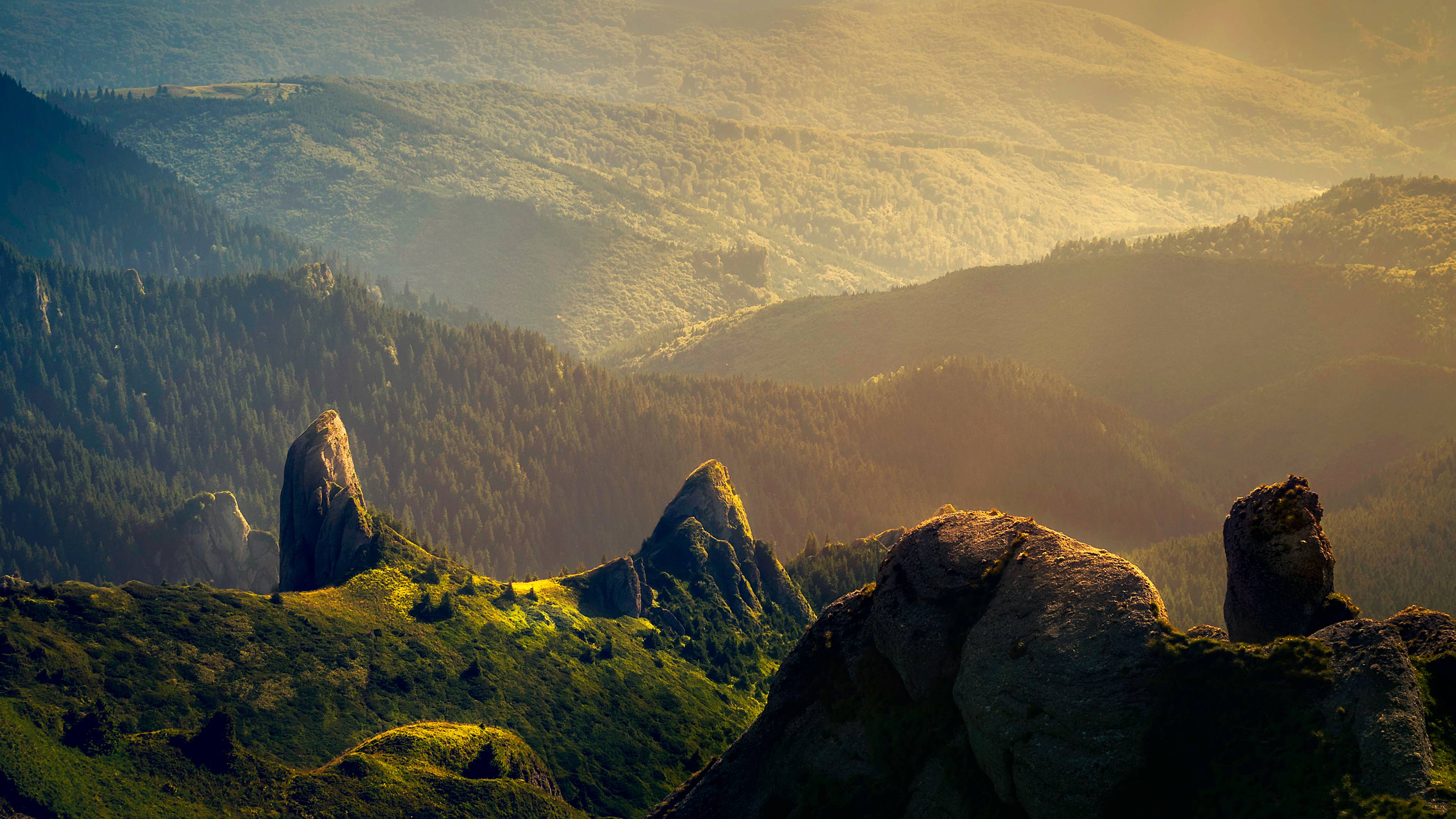 风景