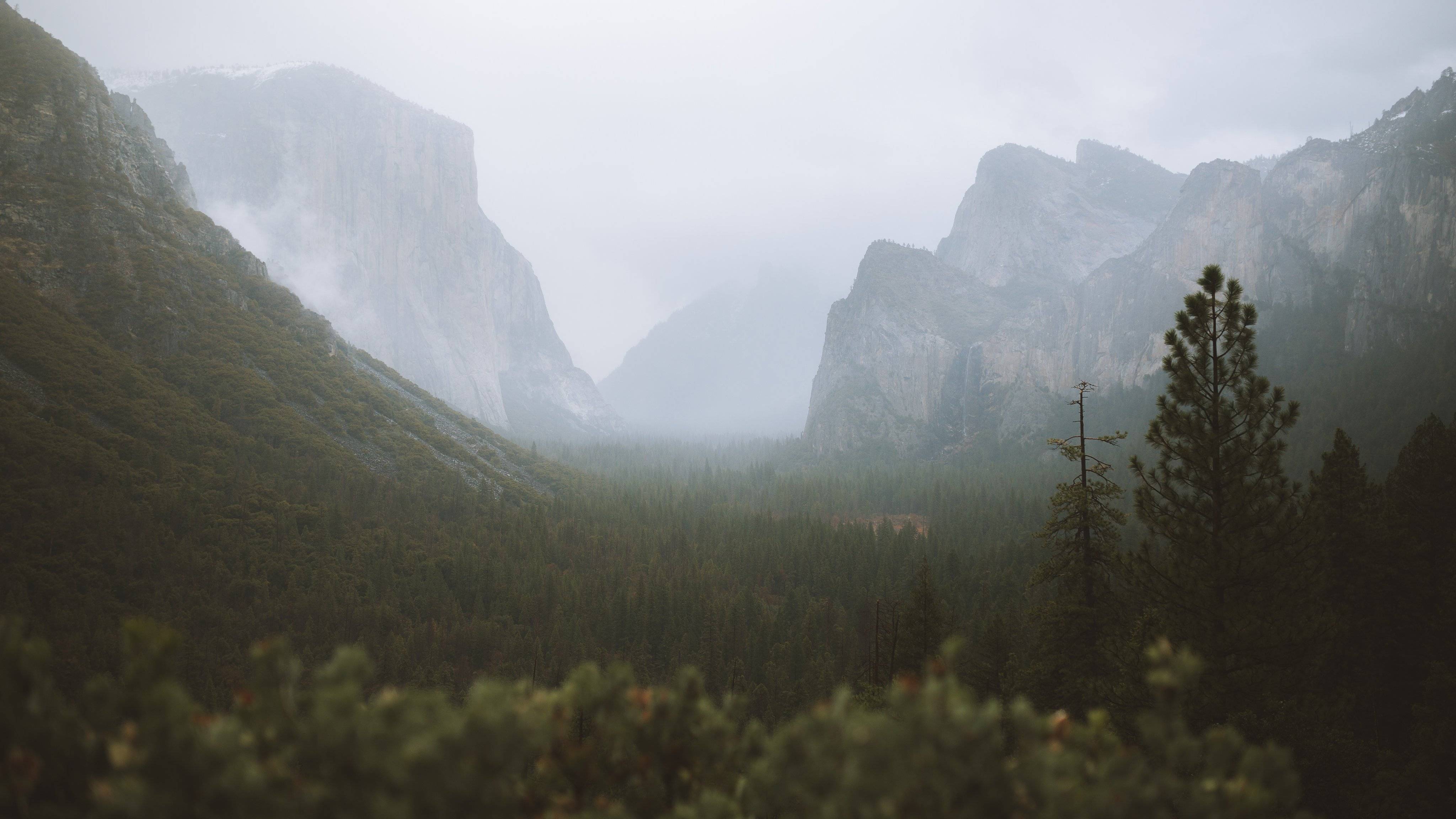 风景
