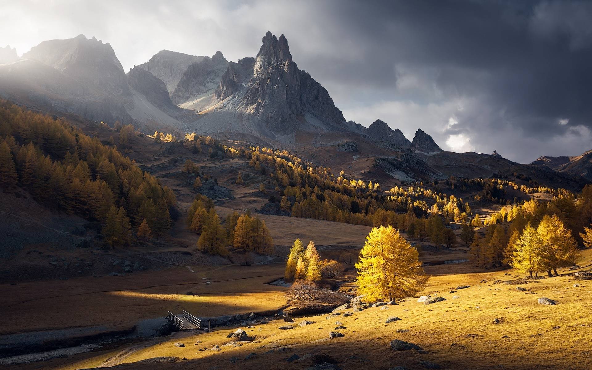 风景