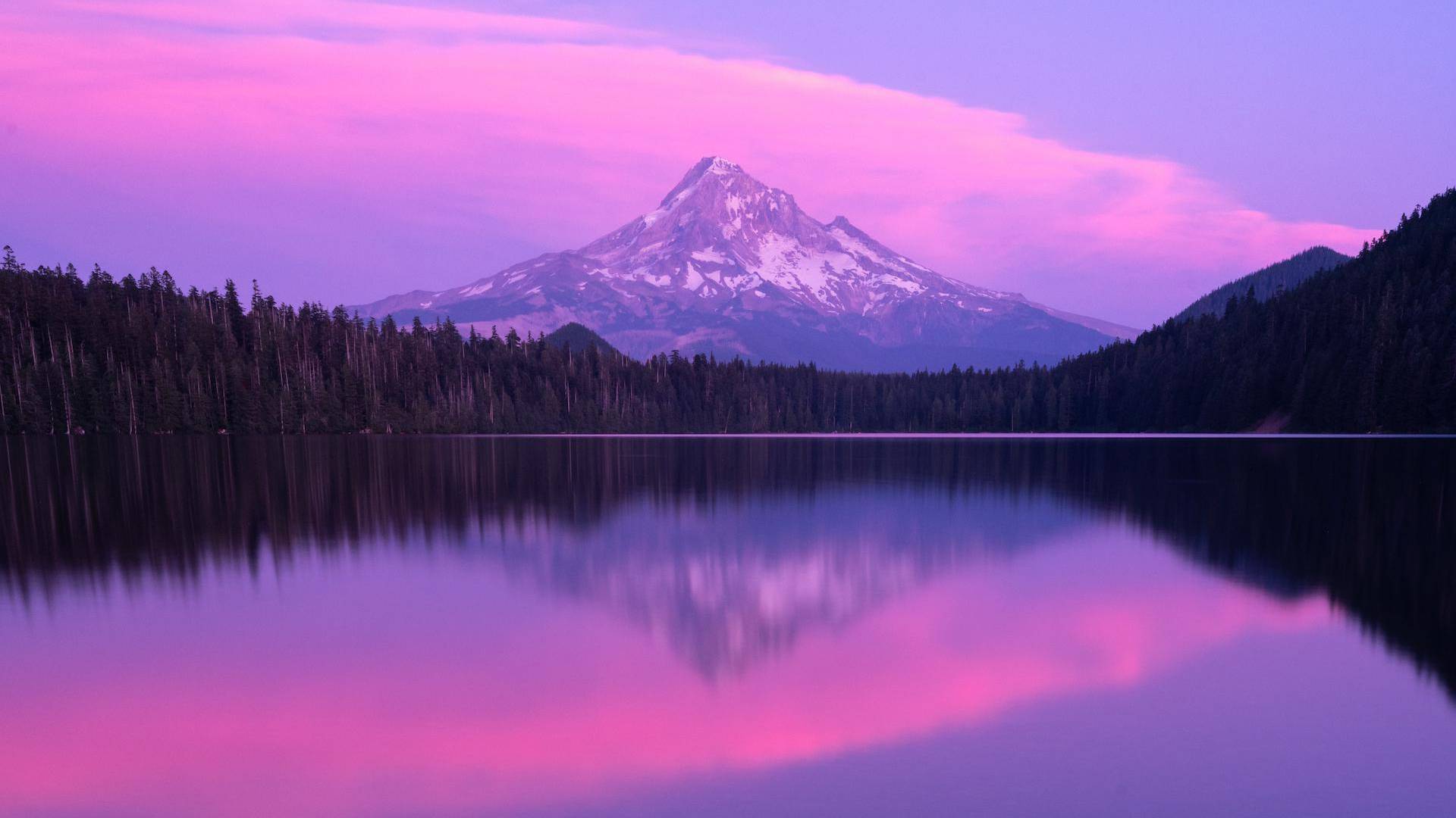 风景