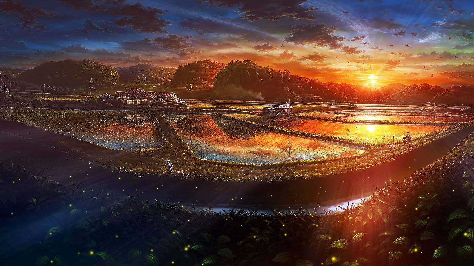 风景