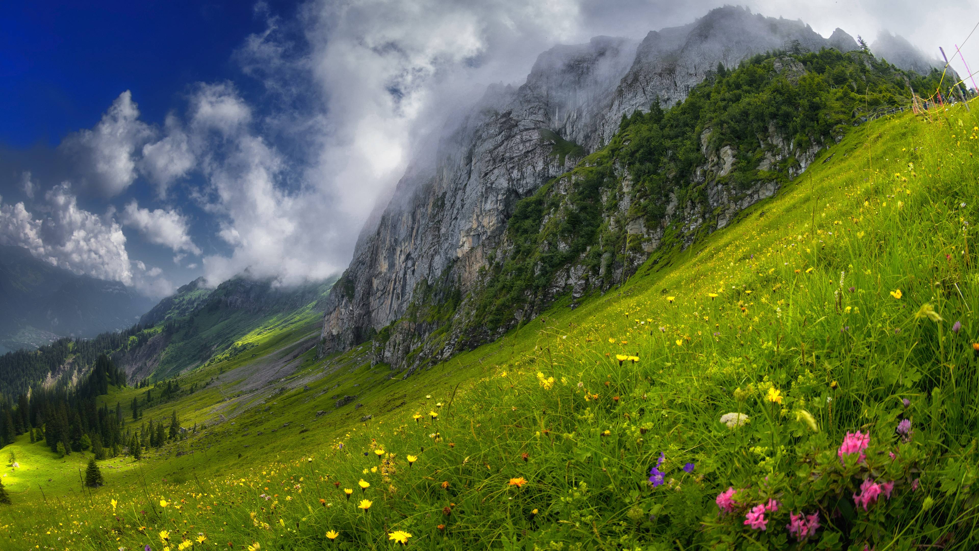 风景