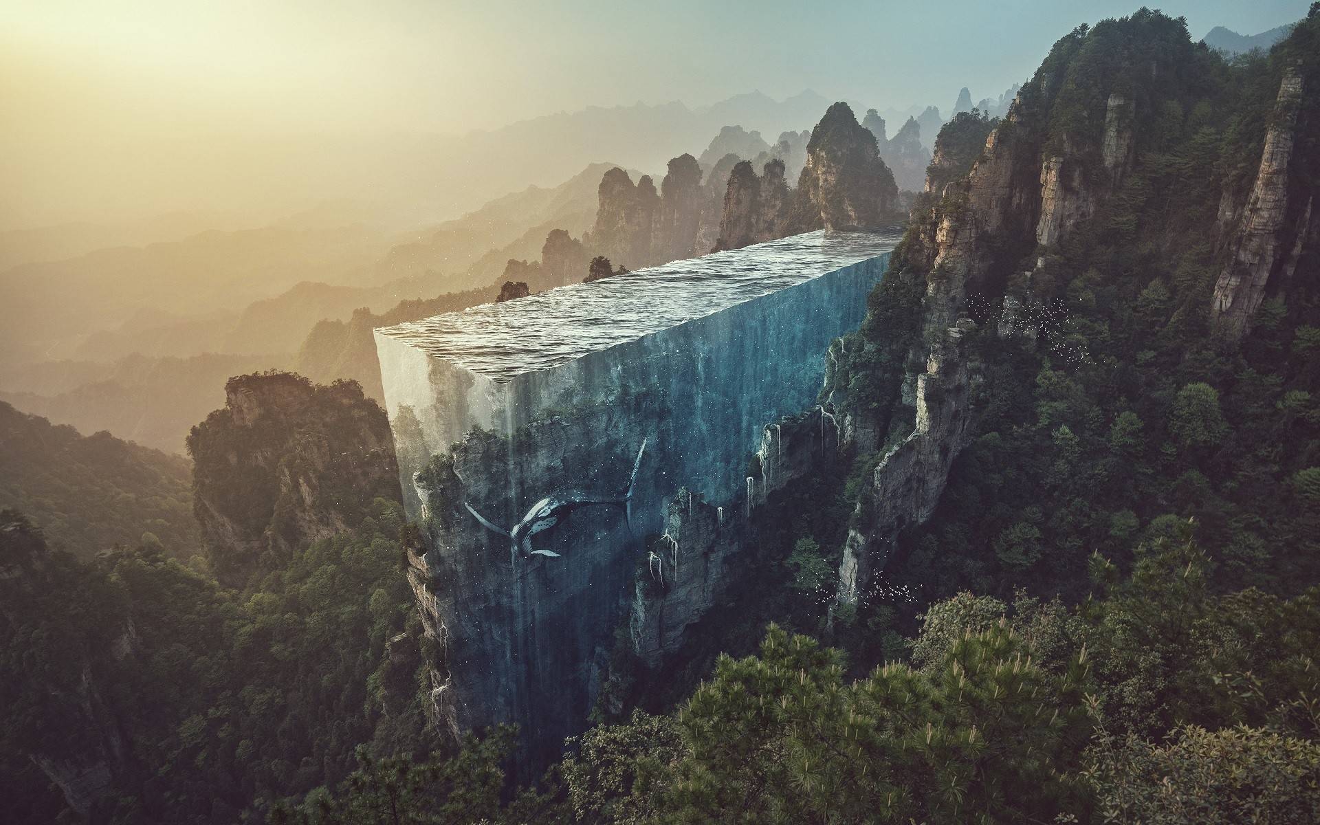 风景