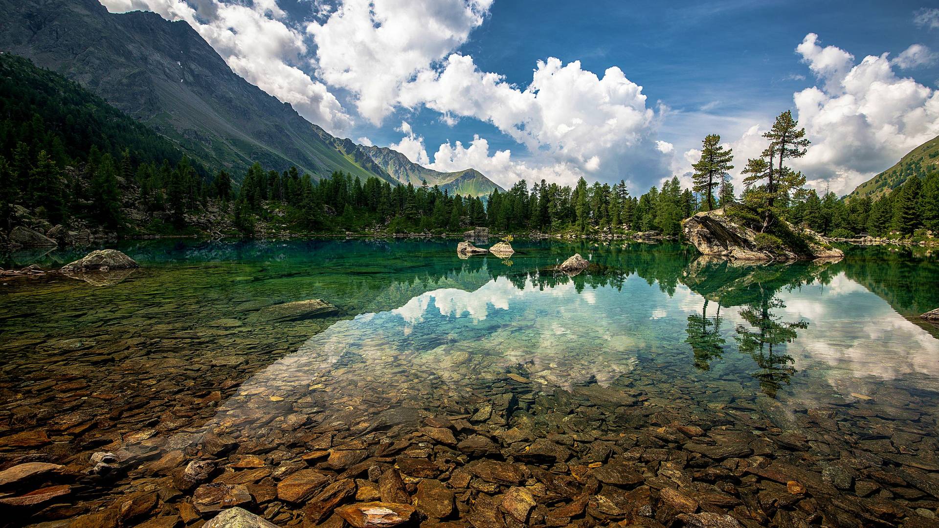 风景