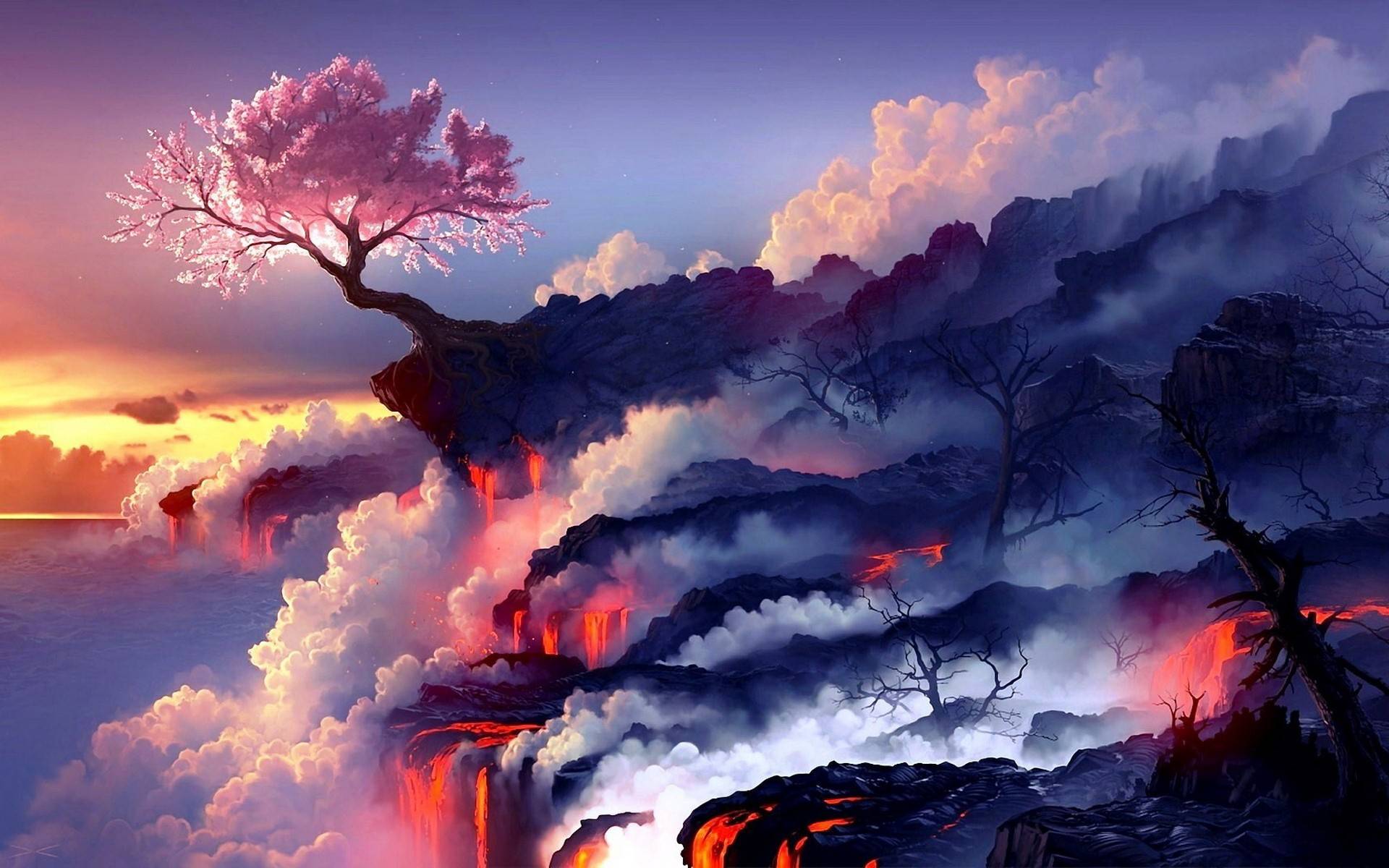 风景