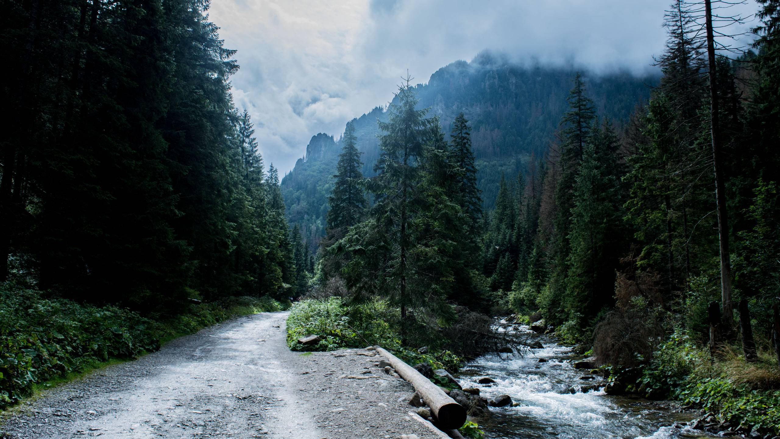 风景