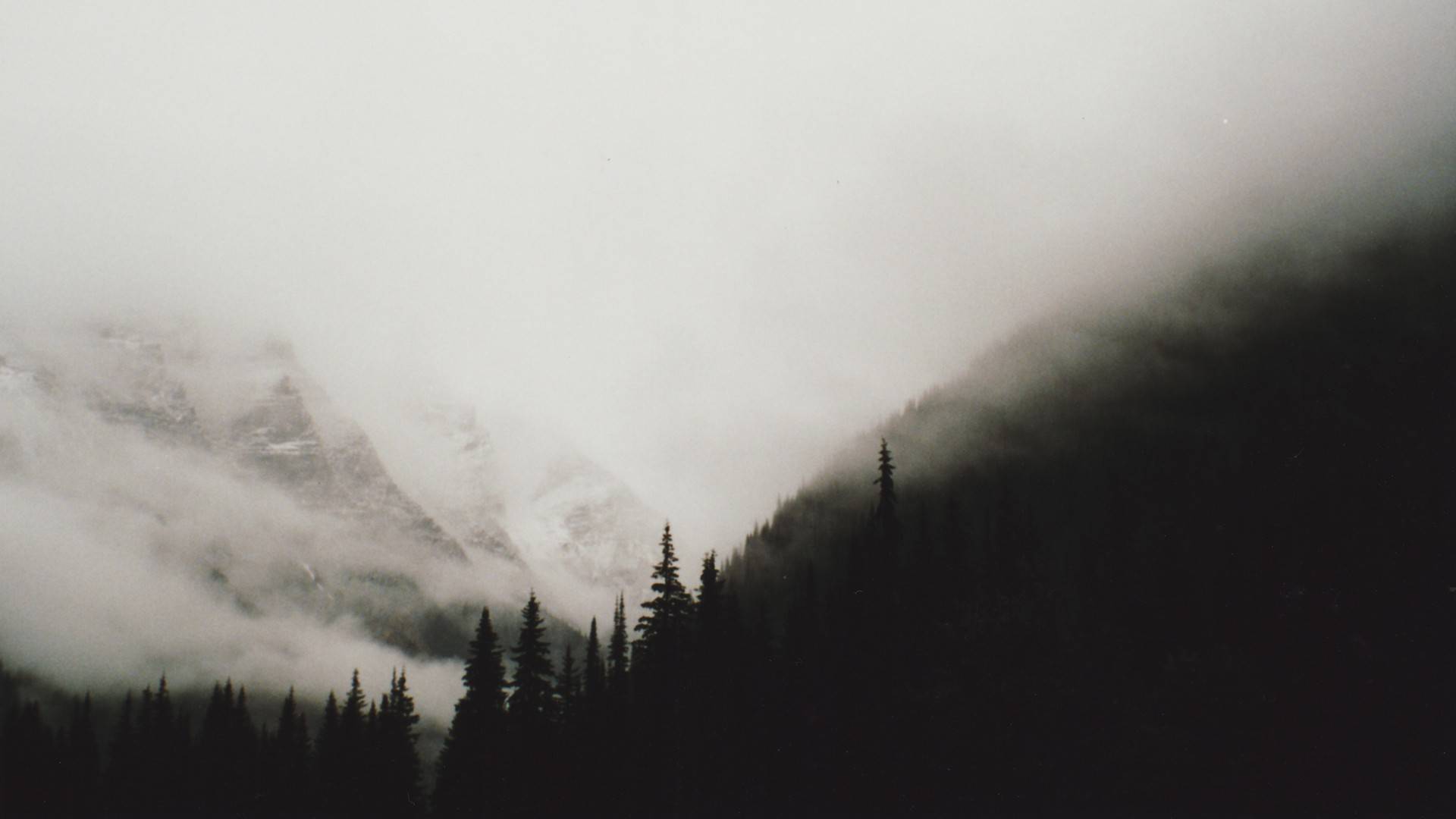 风景