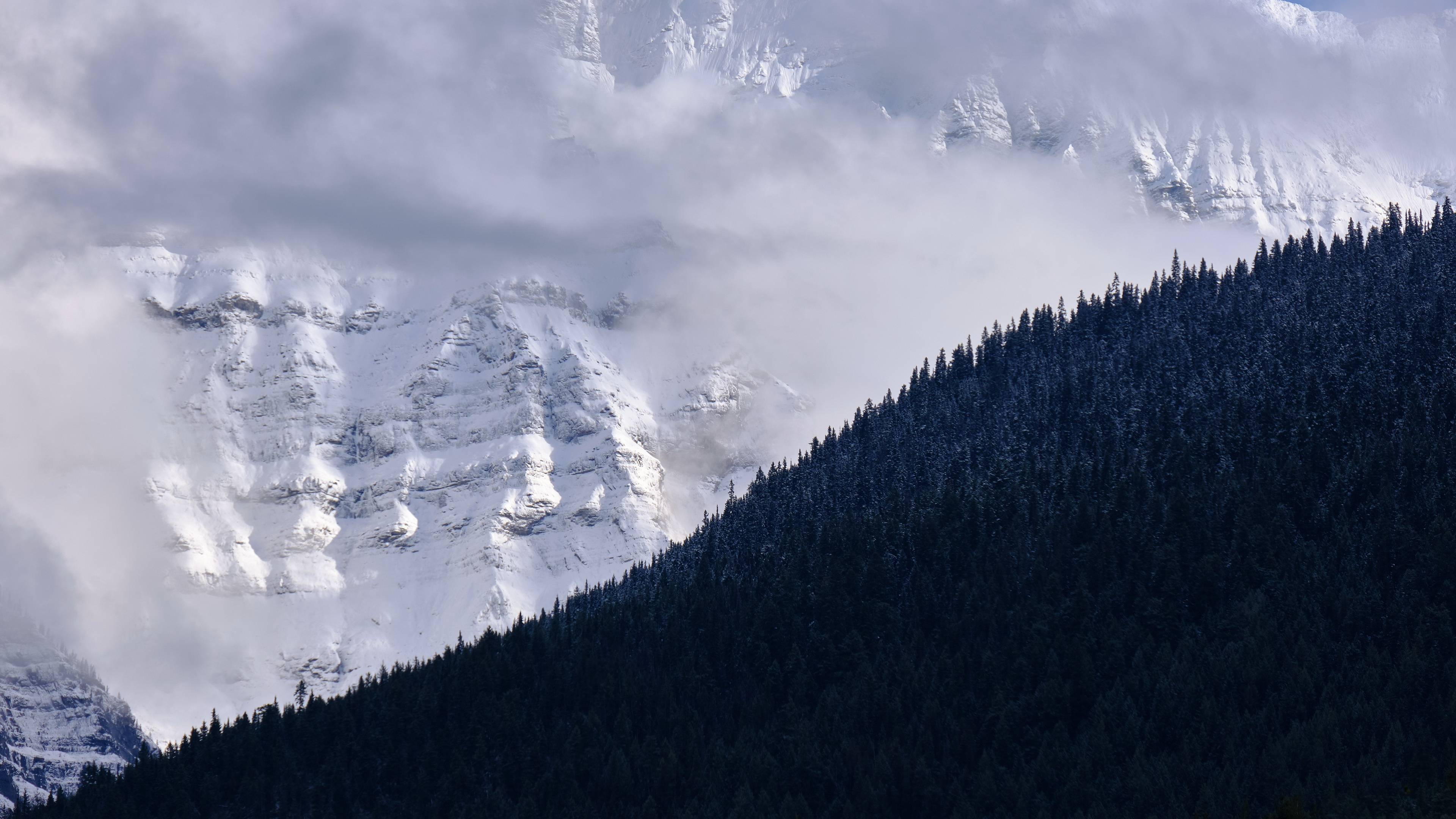 风景