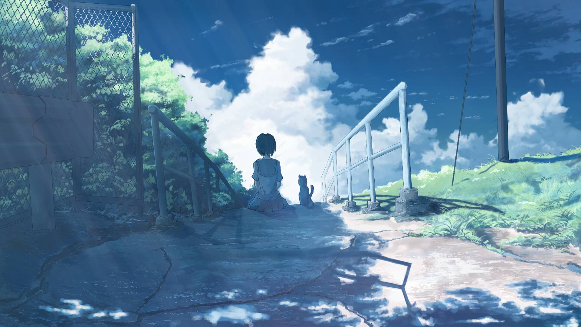 风景