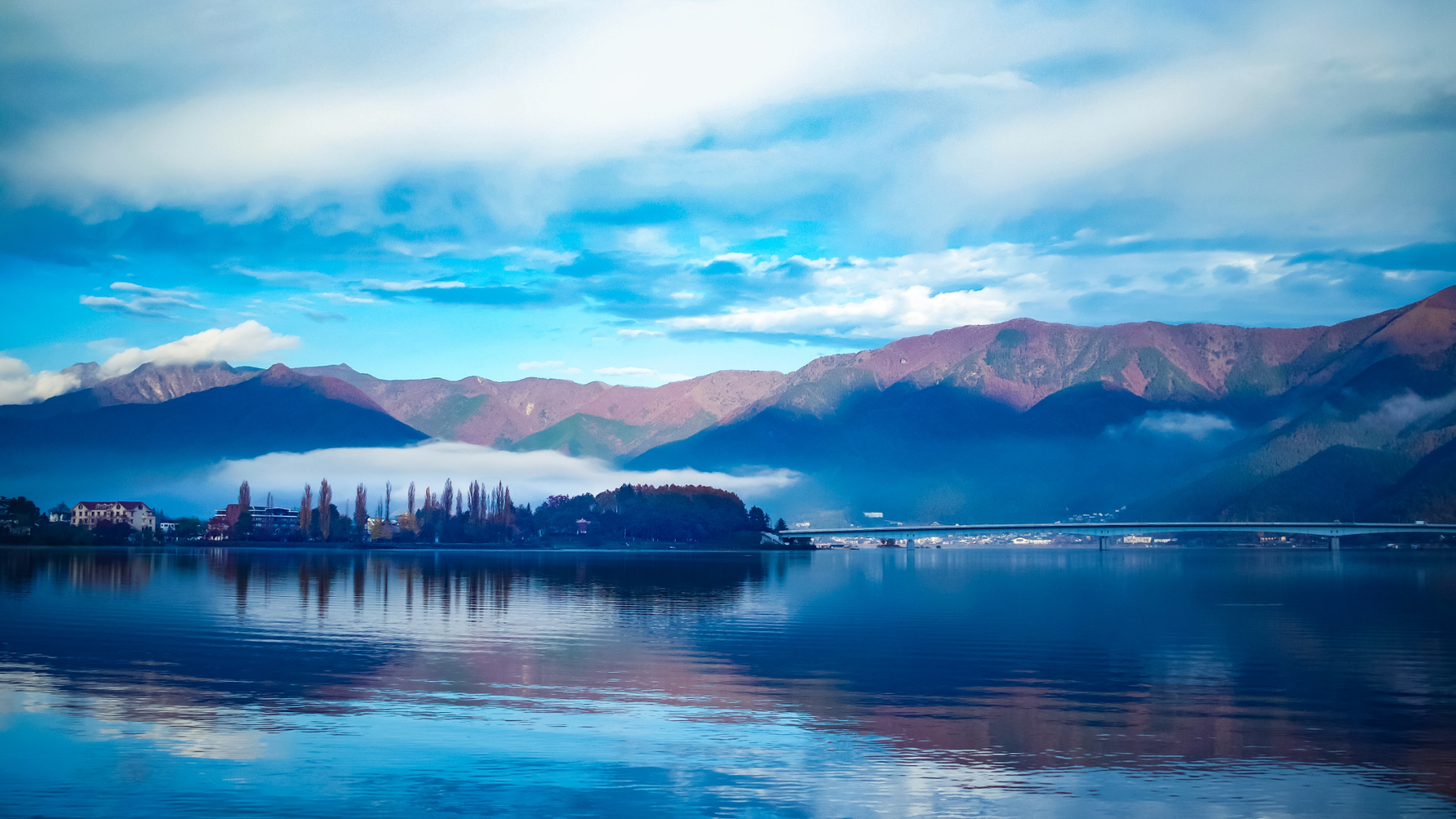 风景