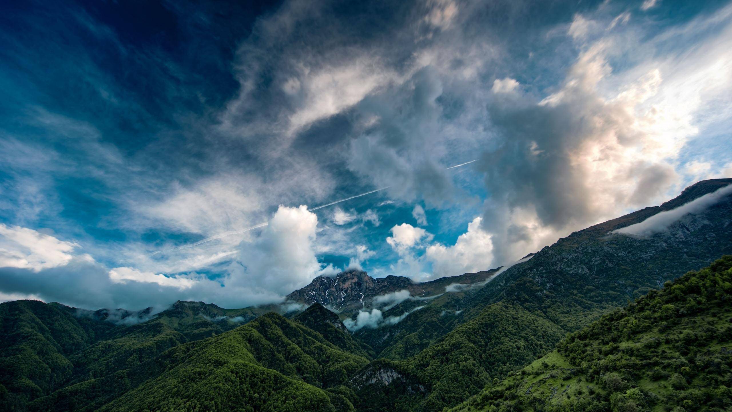 风景