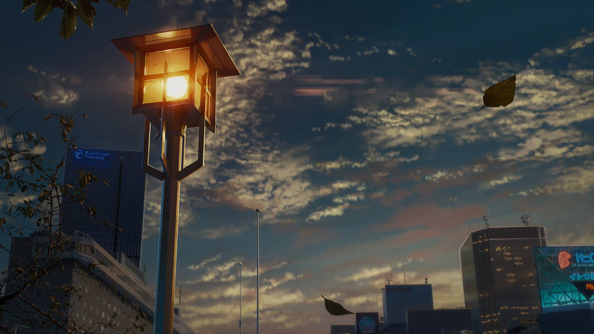 风景