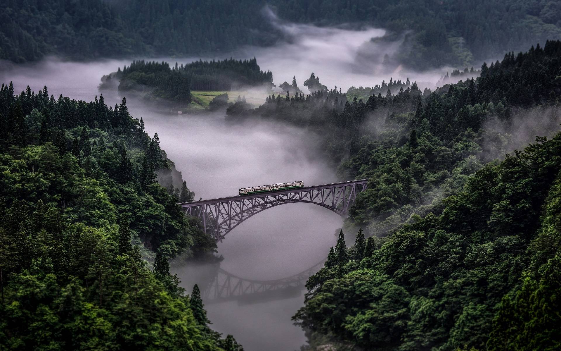 风景