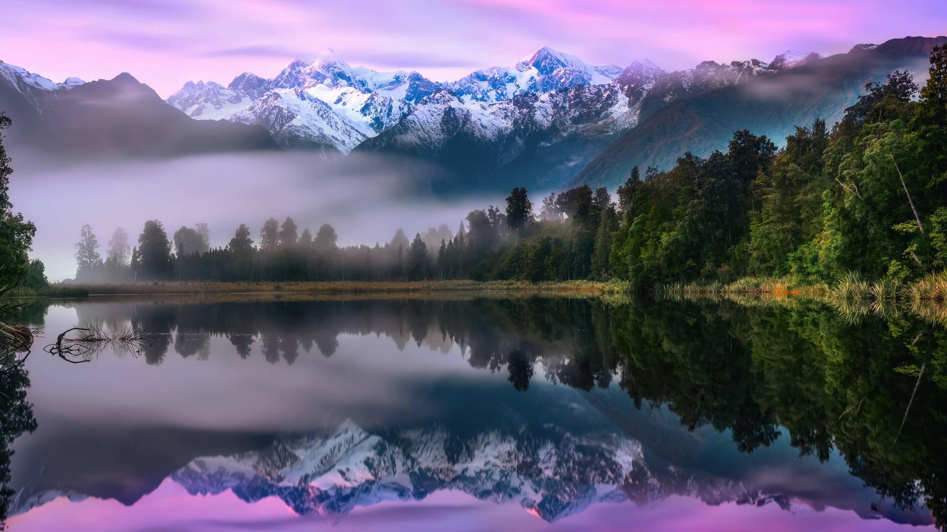 风景