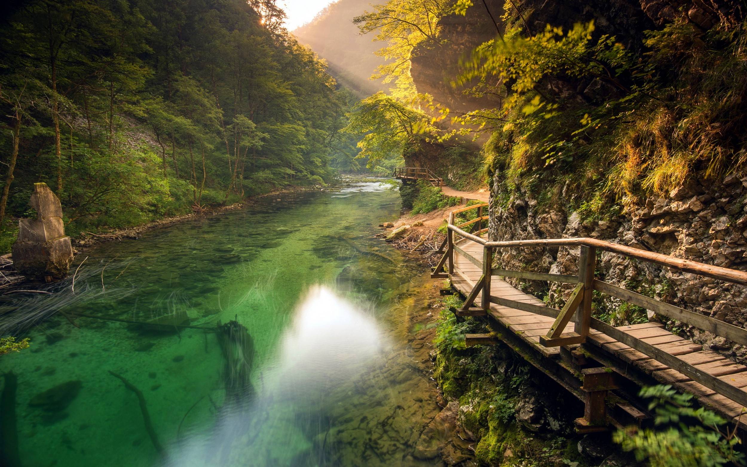 风景