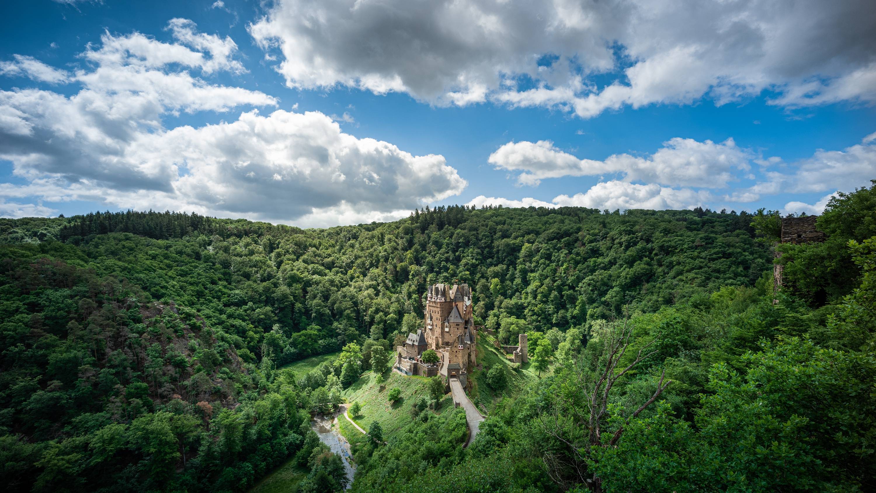 风景