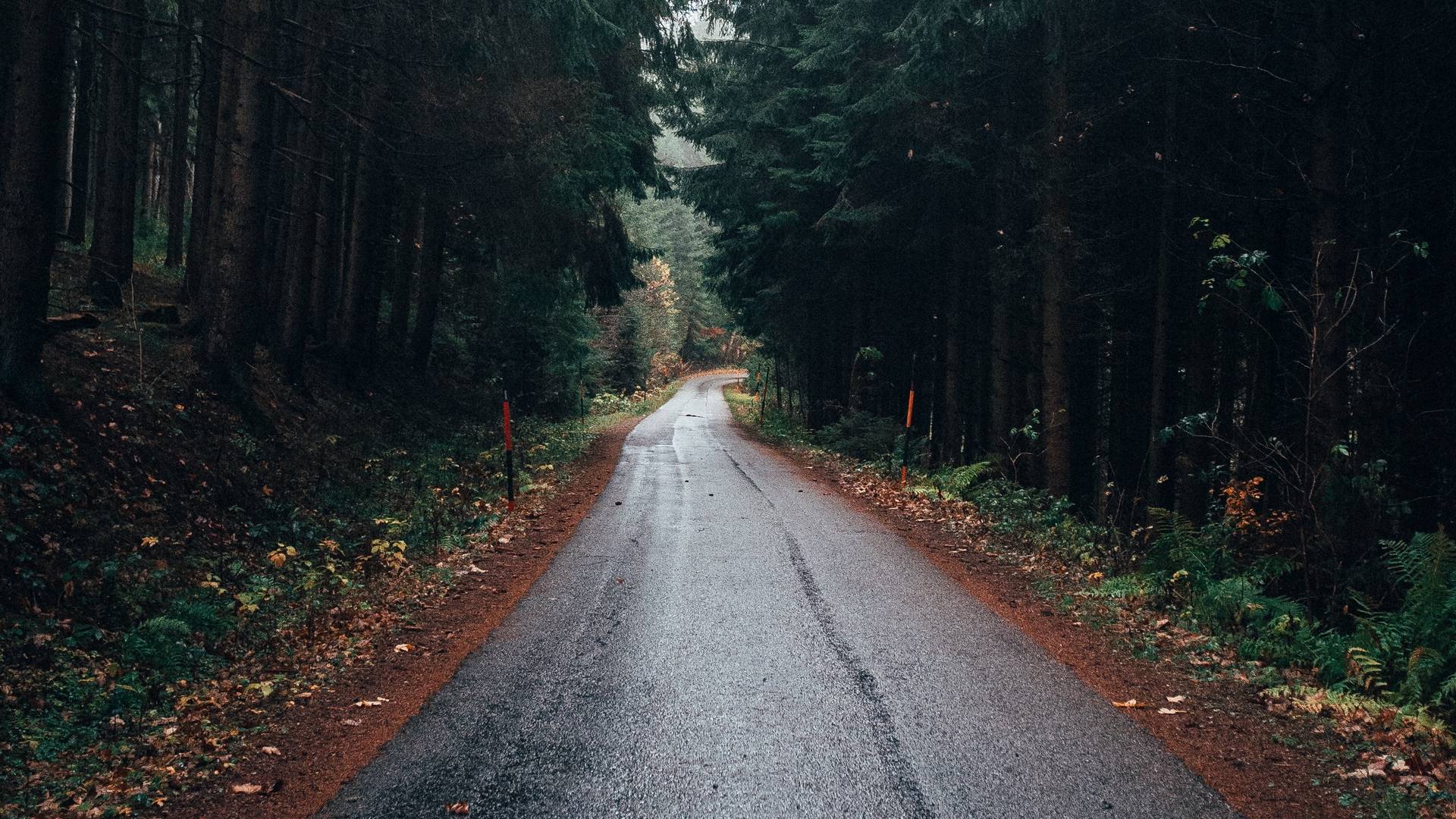 风景