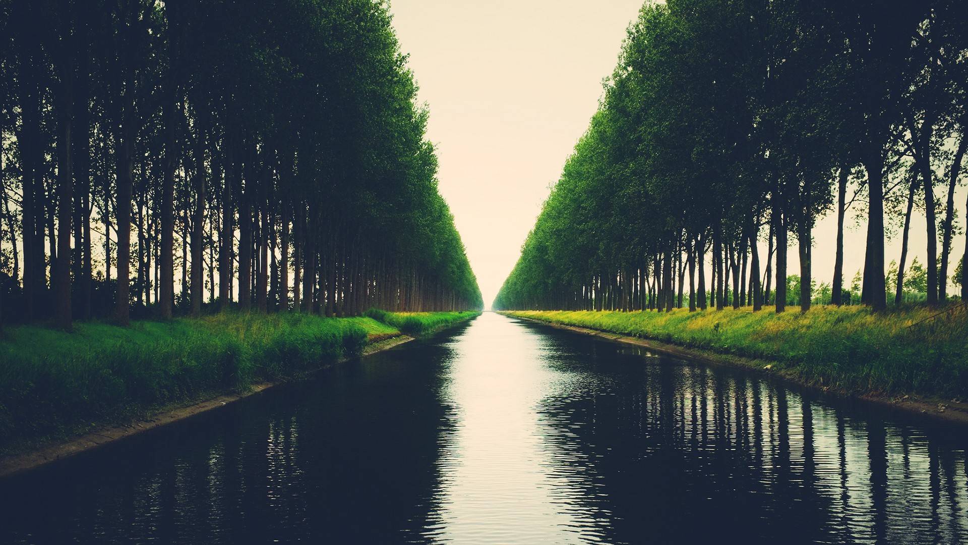 风景