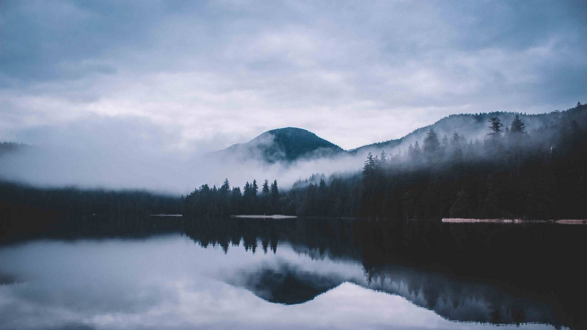 风景