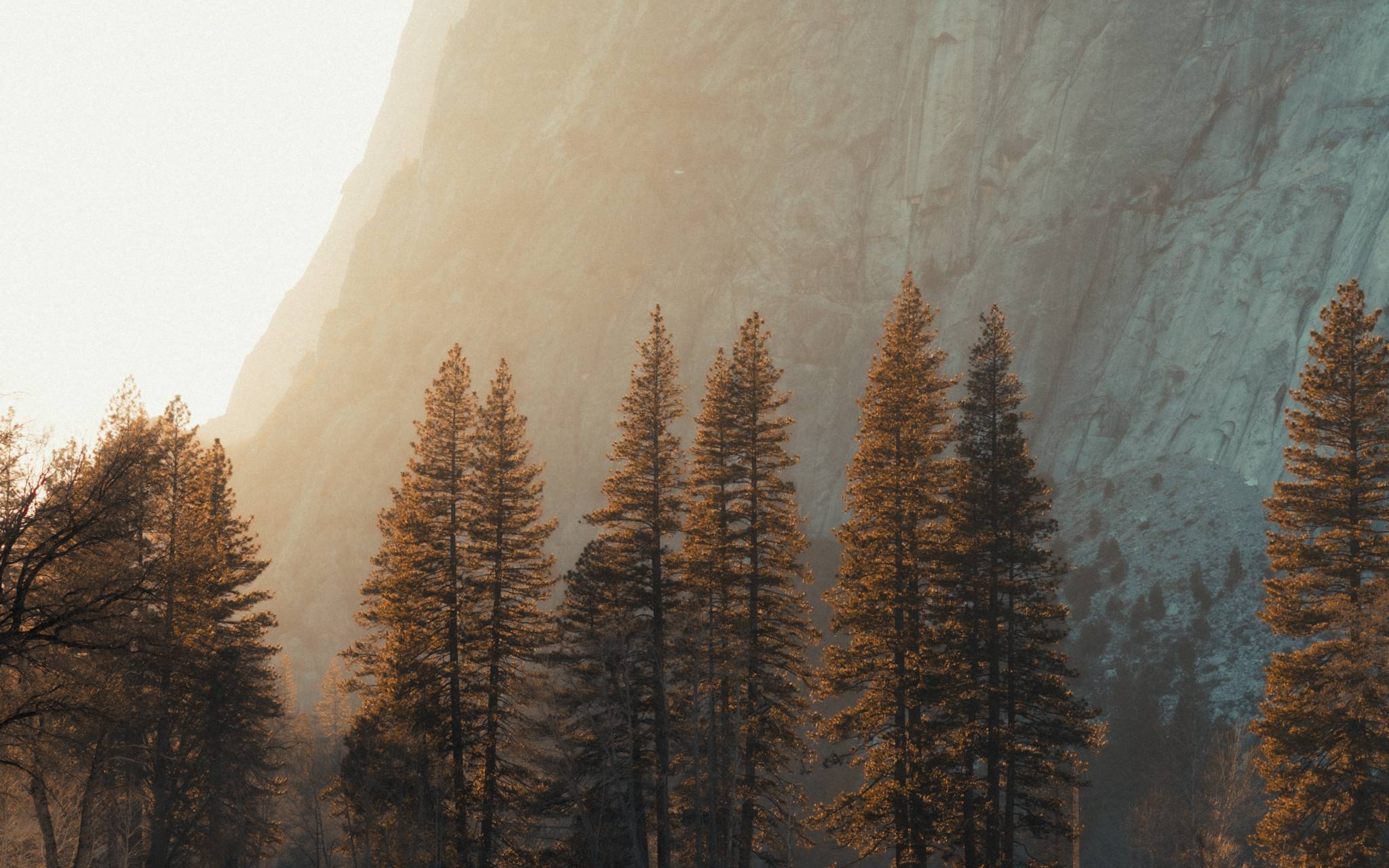 风景