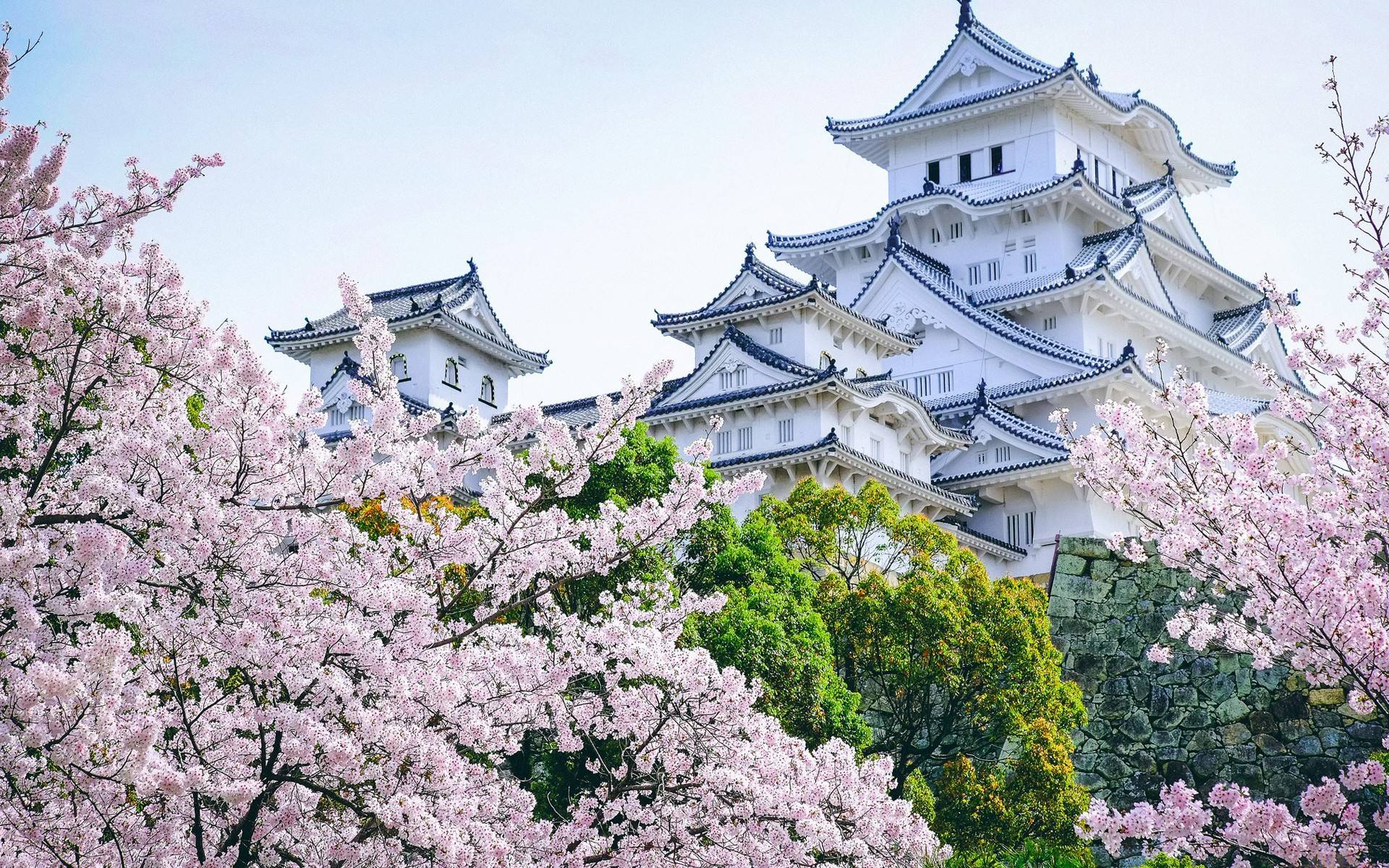 风景