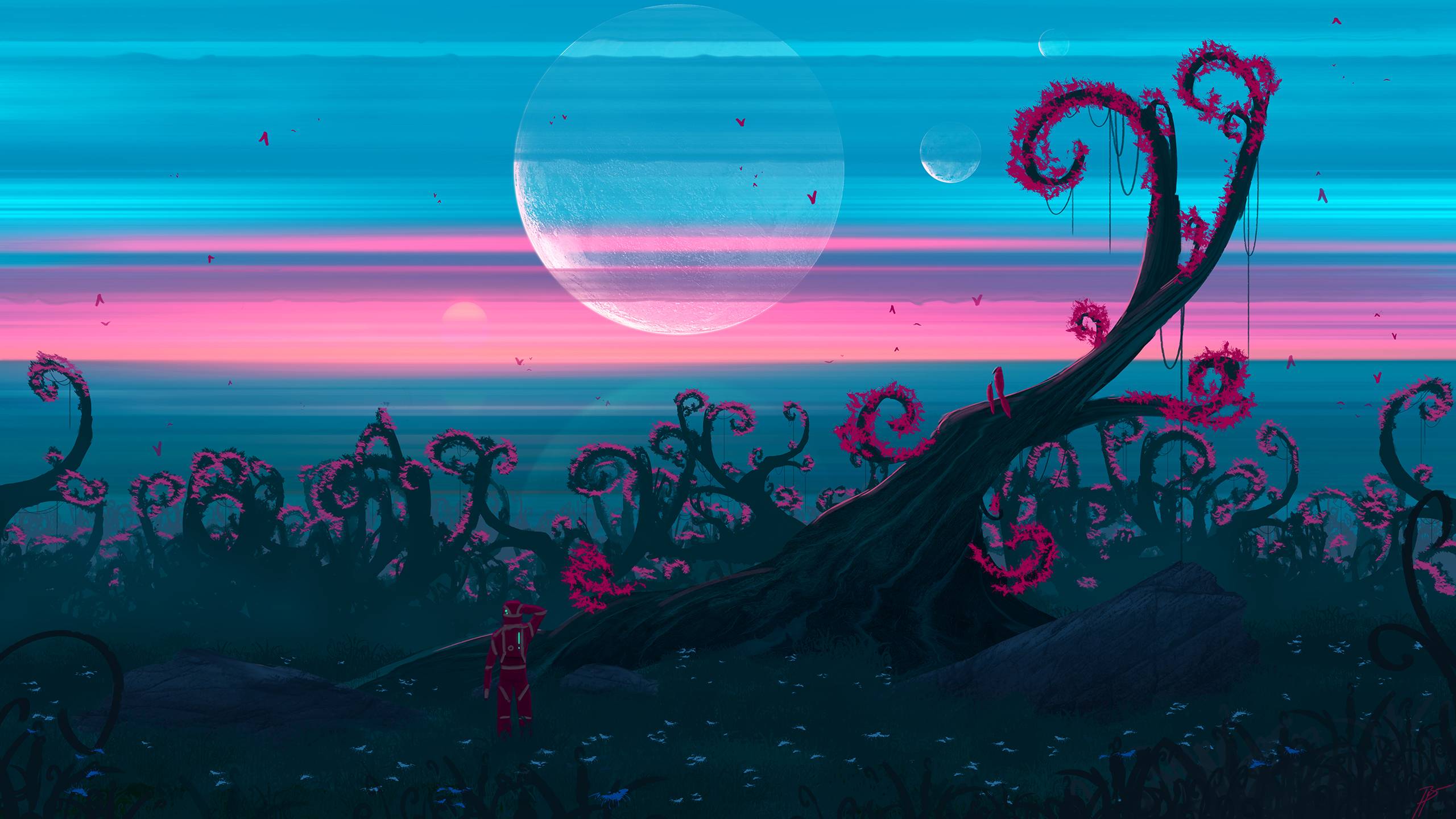 风景