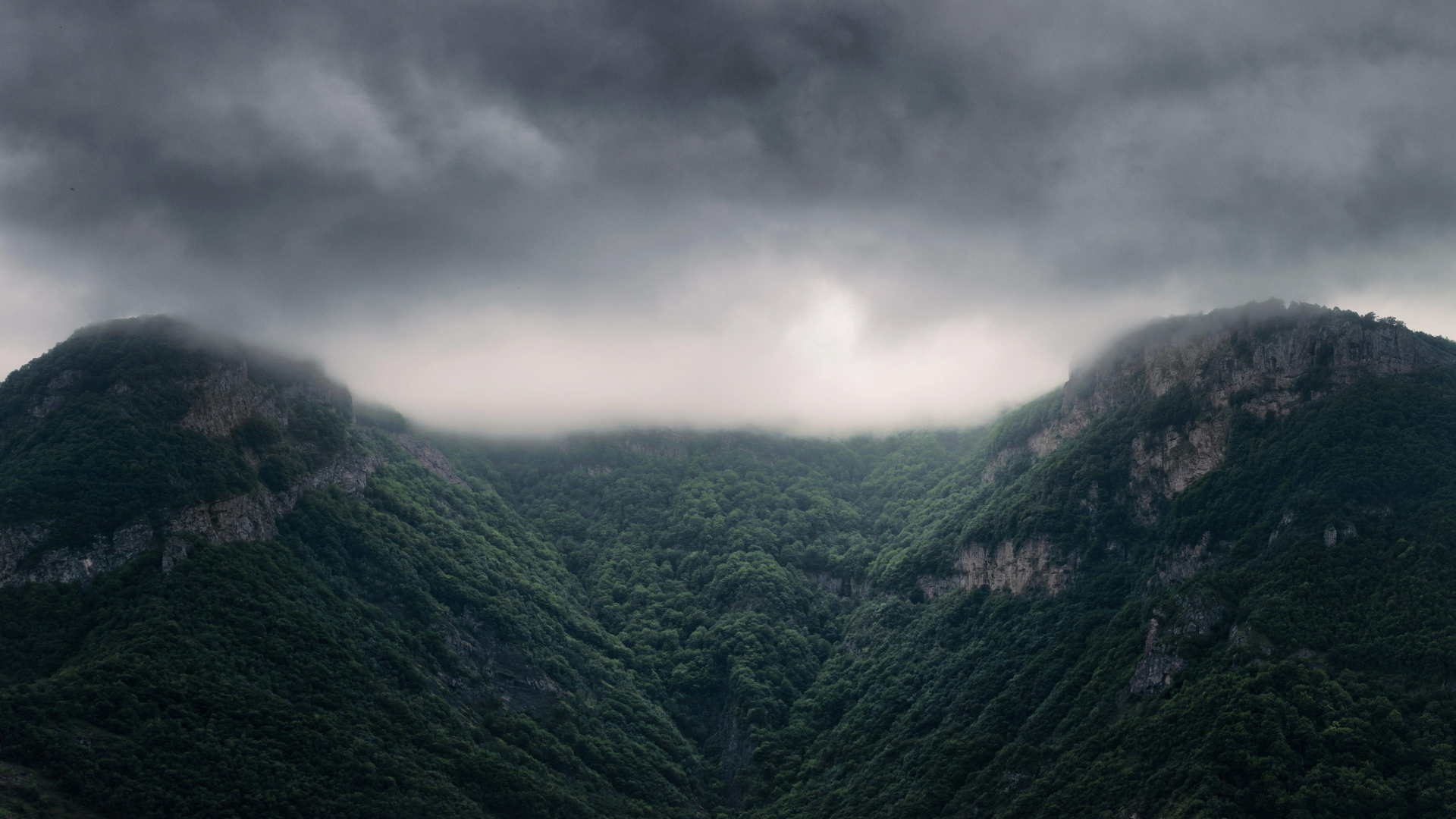风景