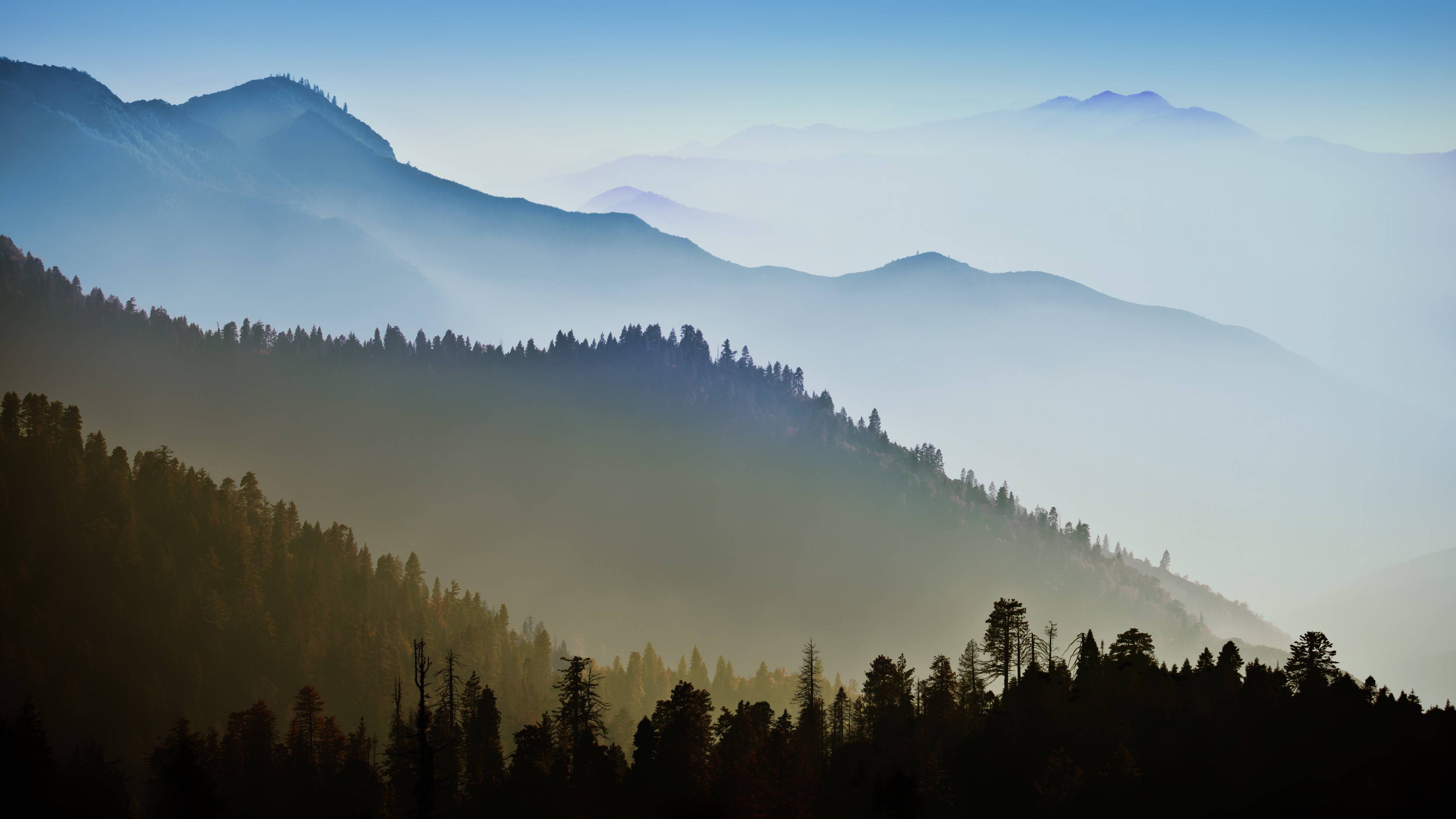 风景