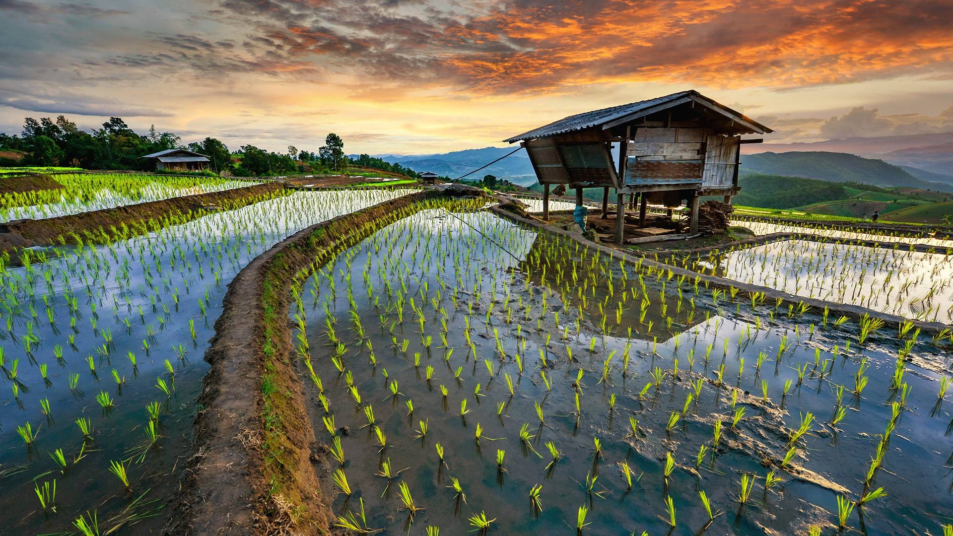 风景