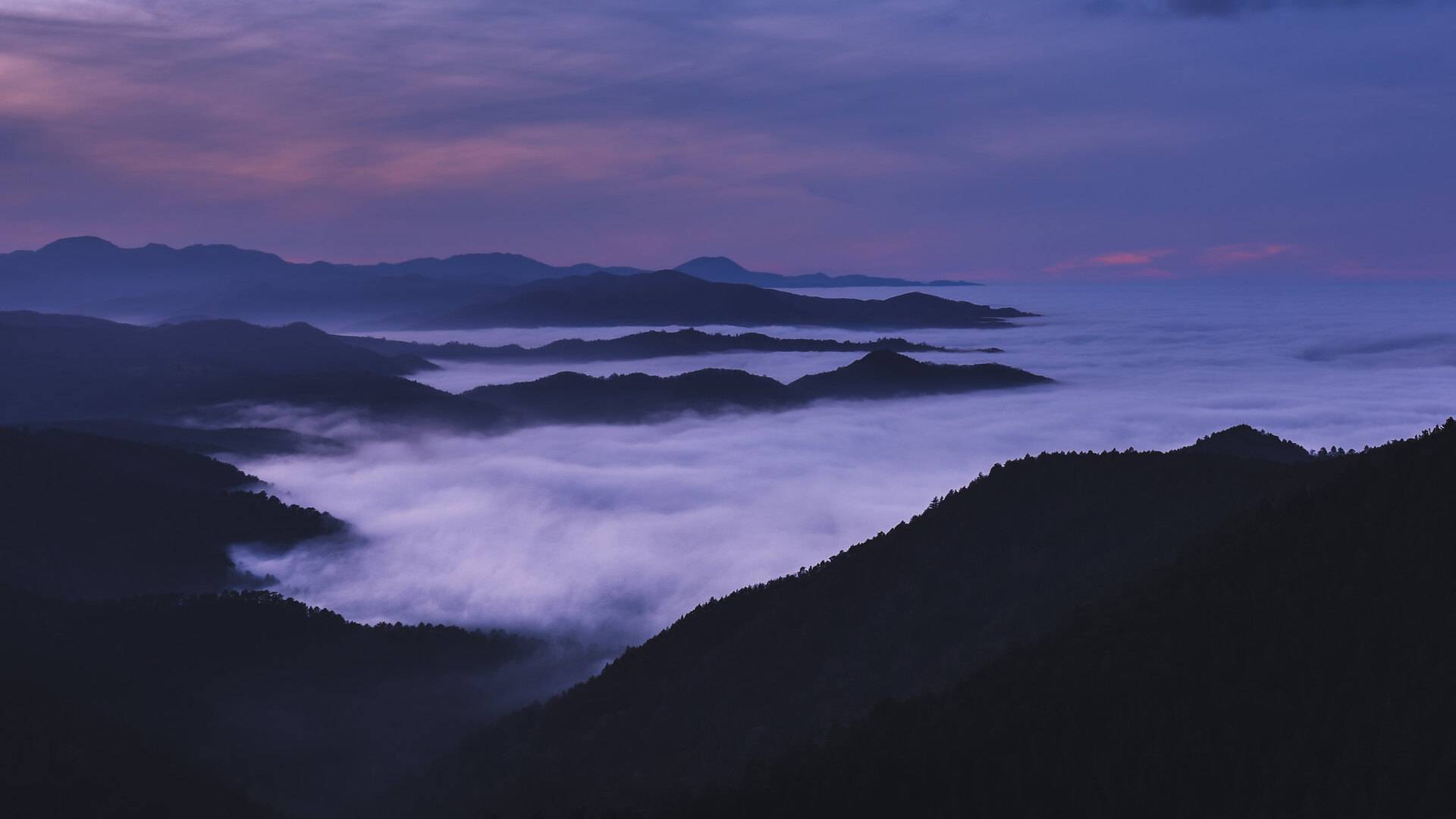 风景