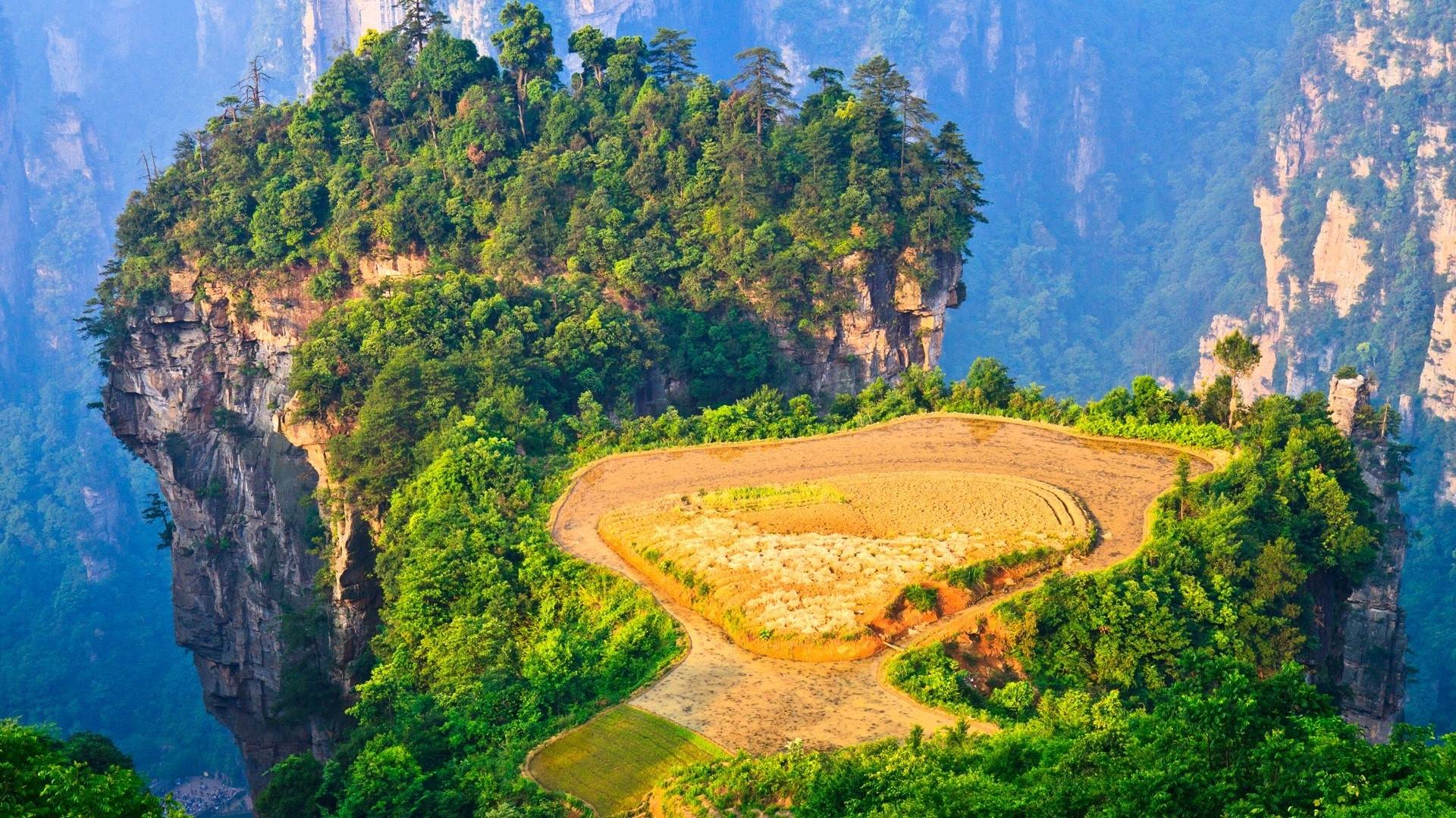 风景
