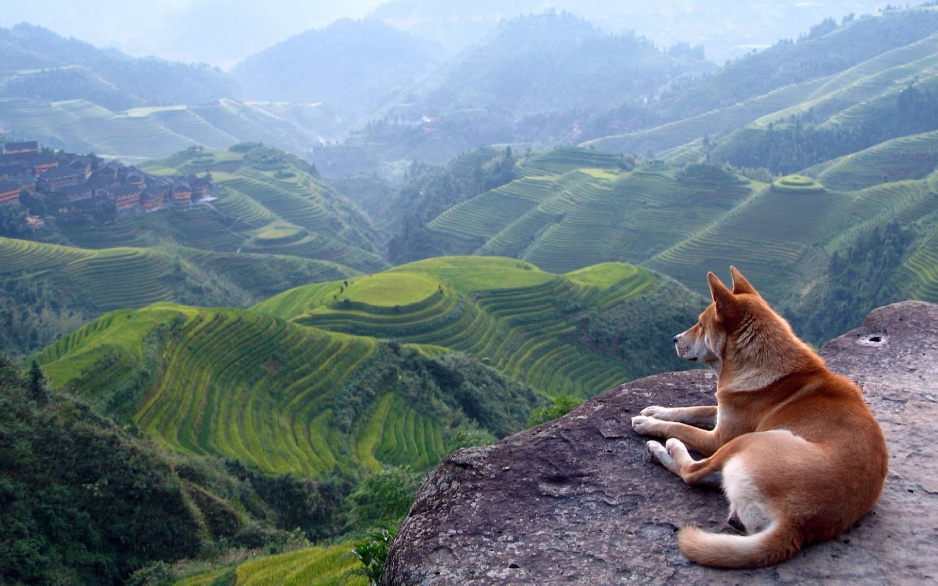 风景