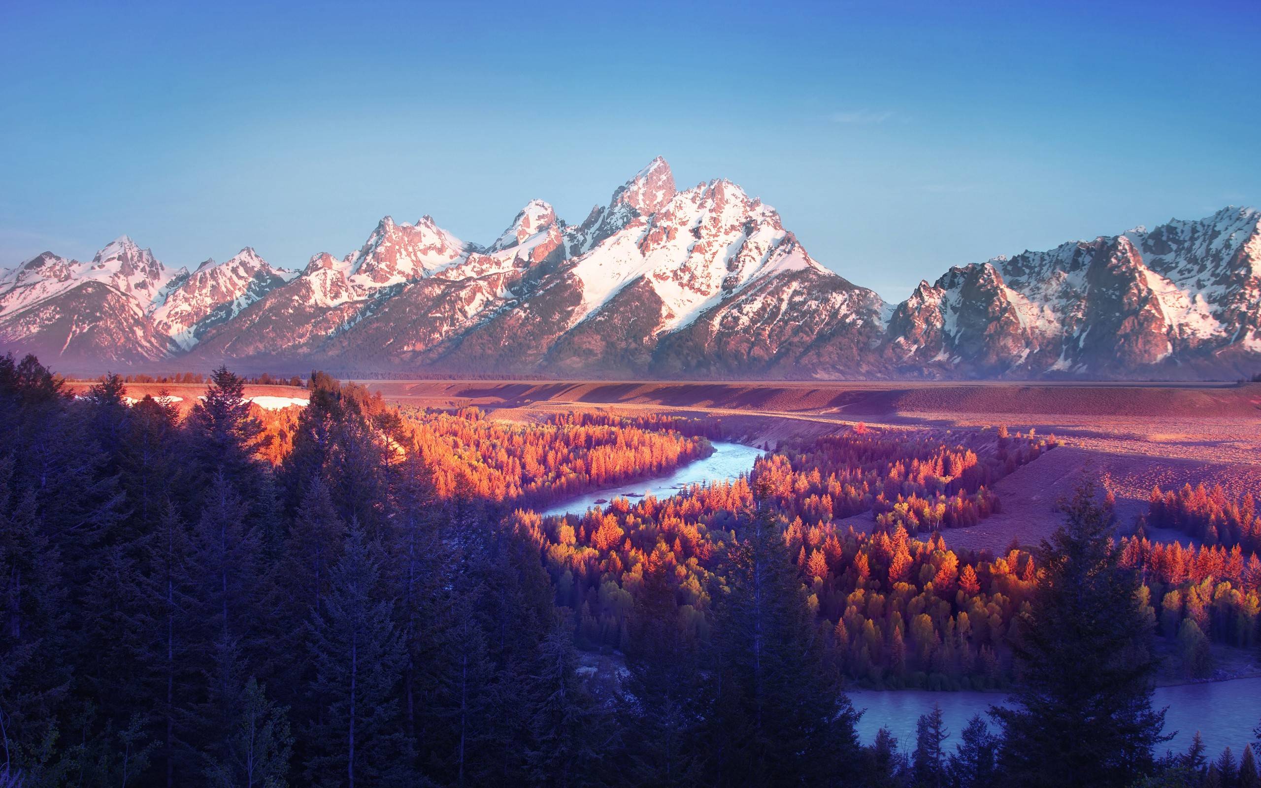 风景