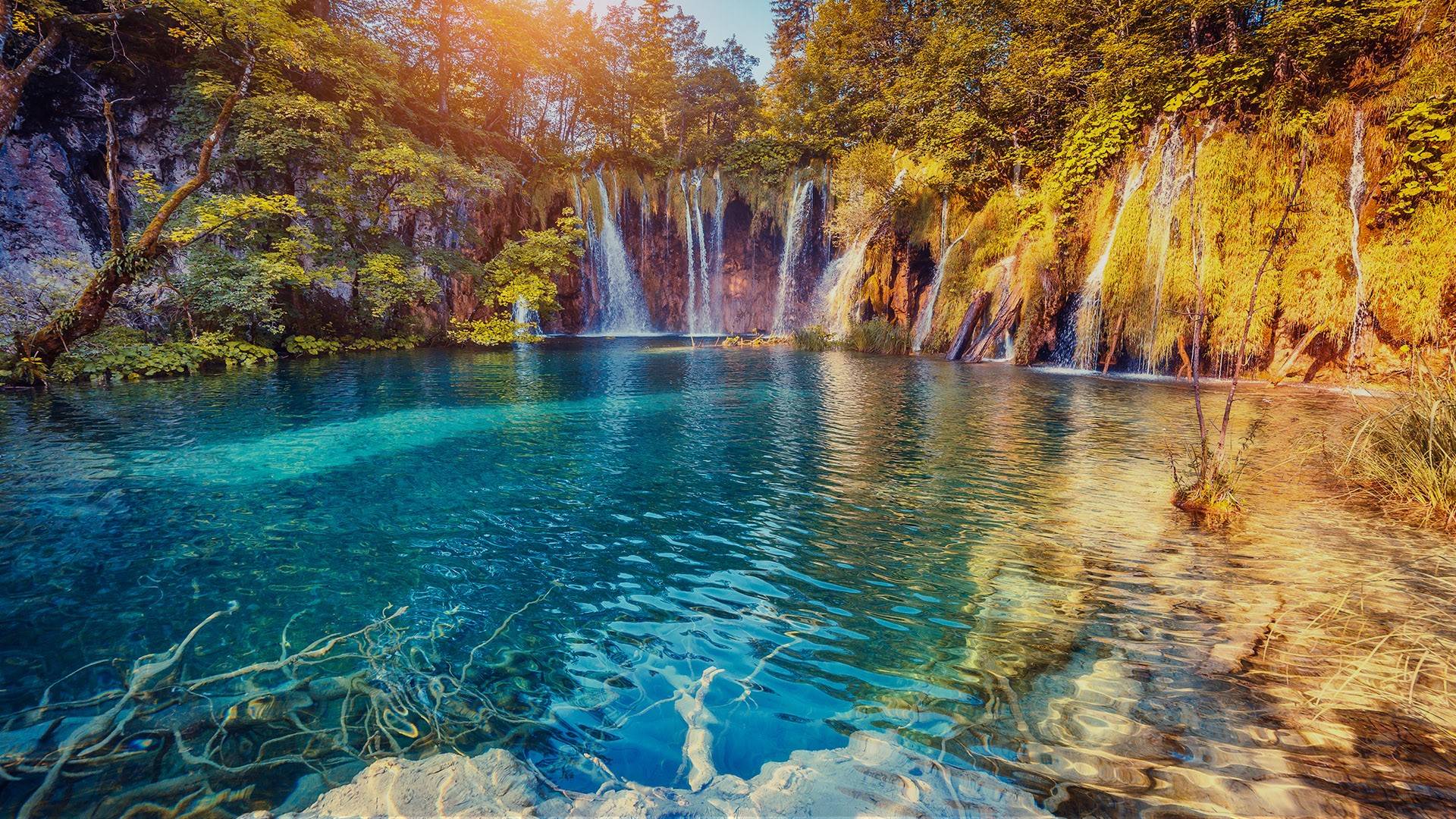 风景