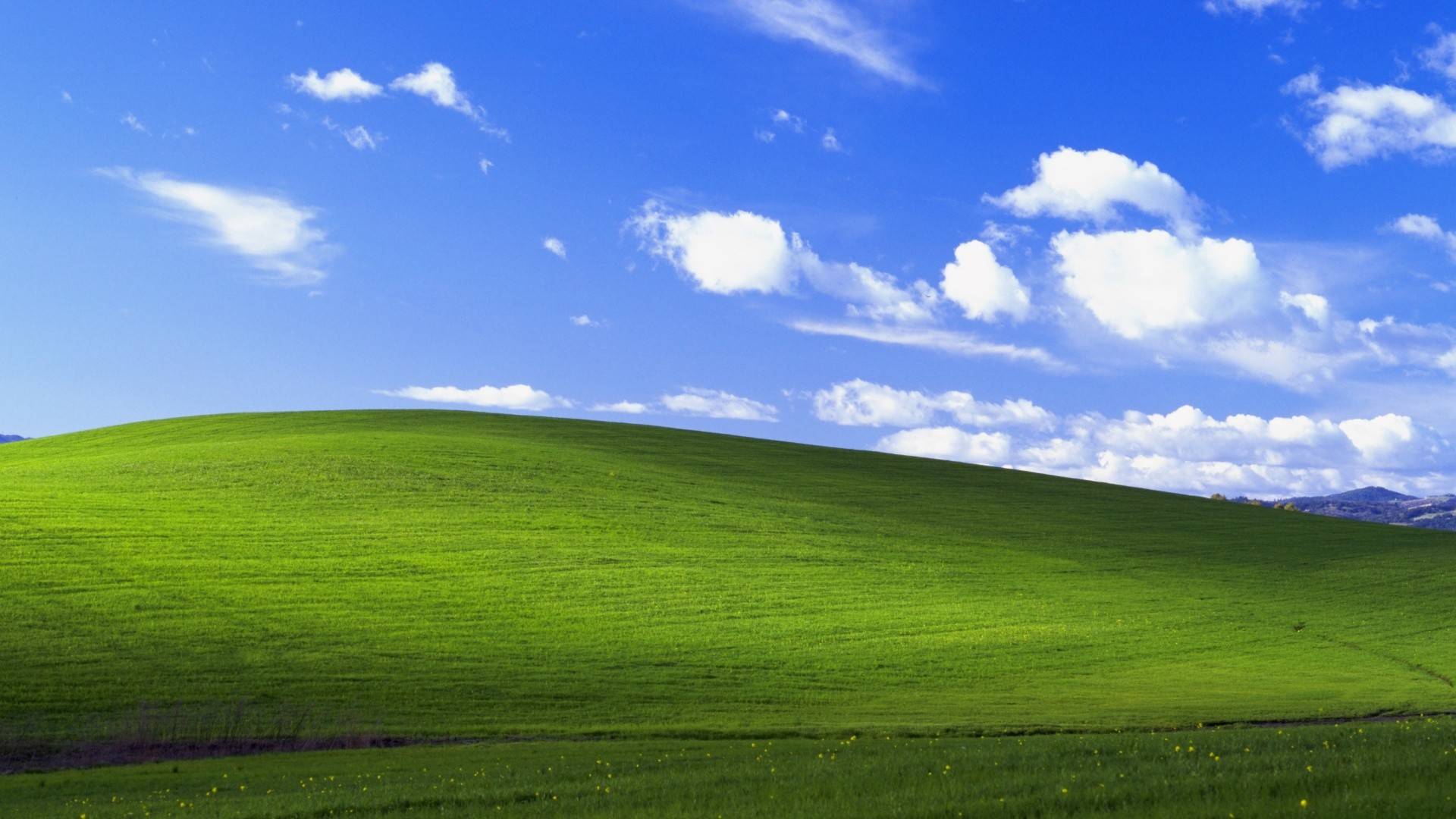 风景
