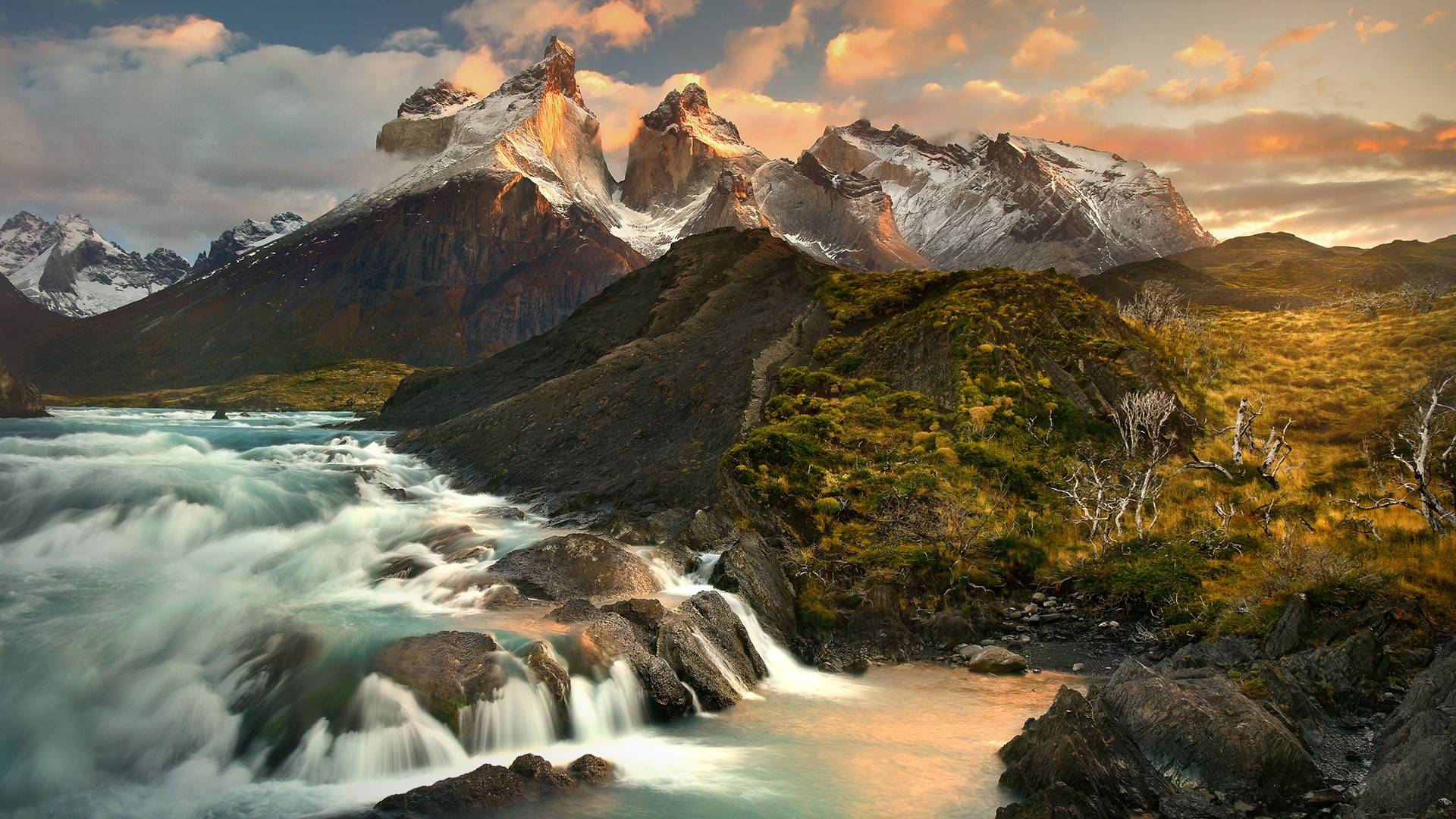 风景