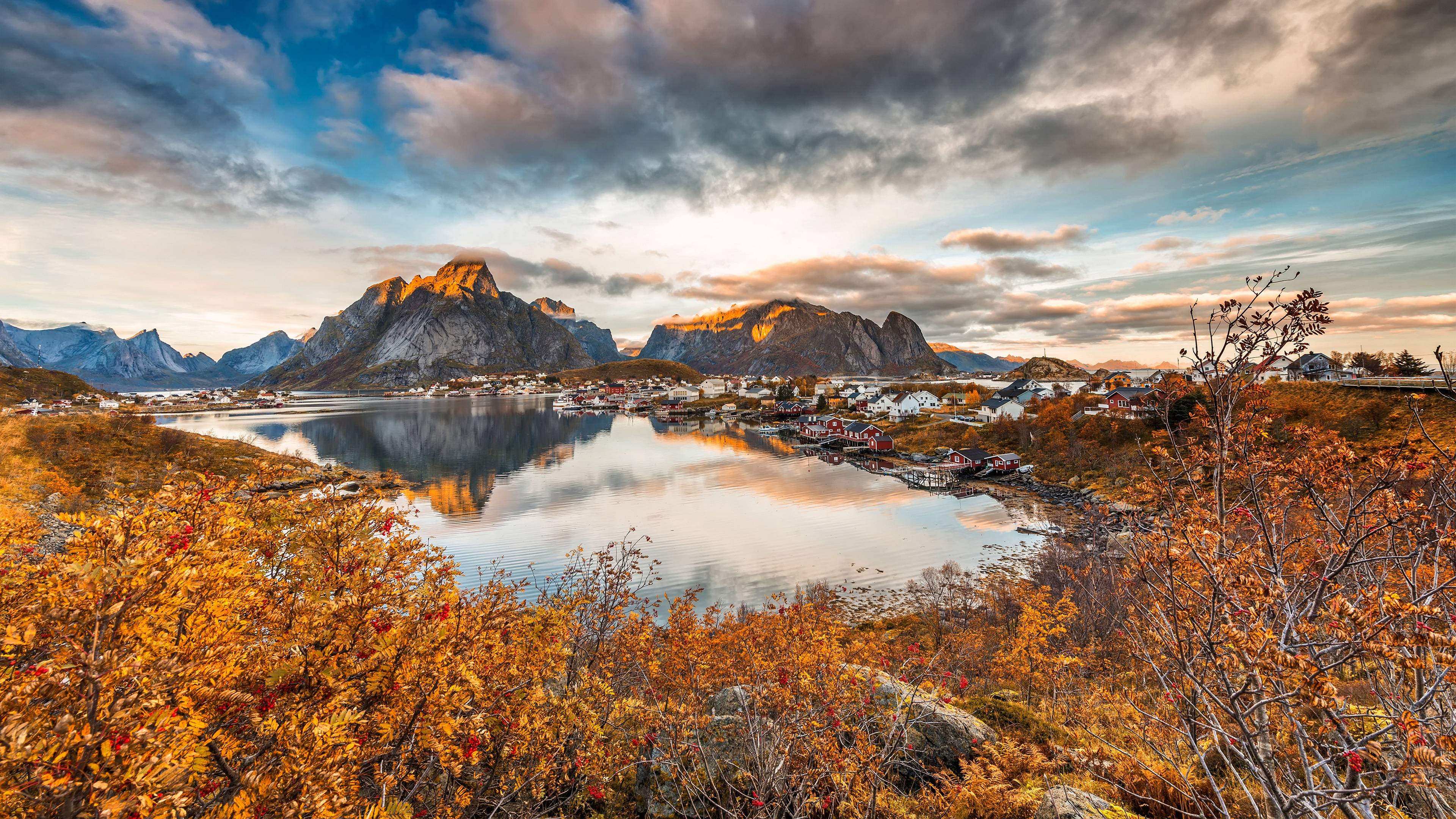 风景