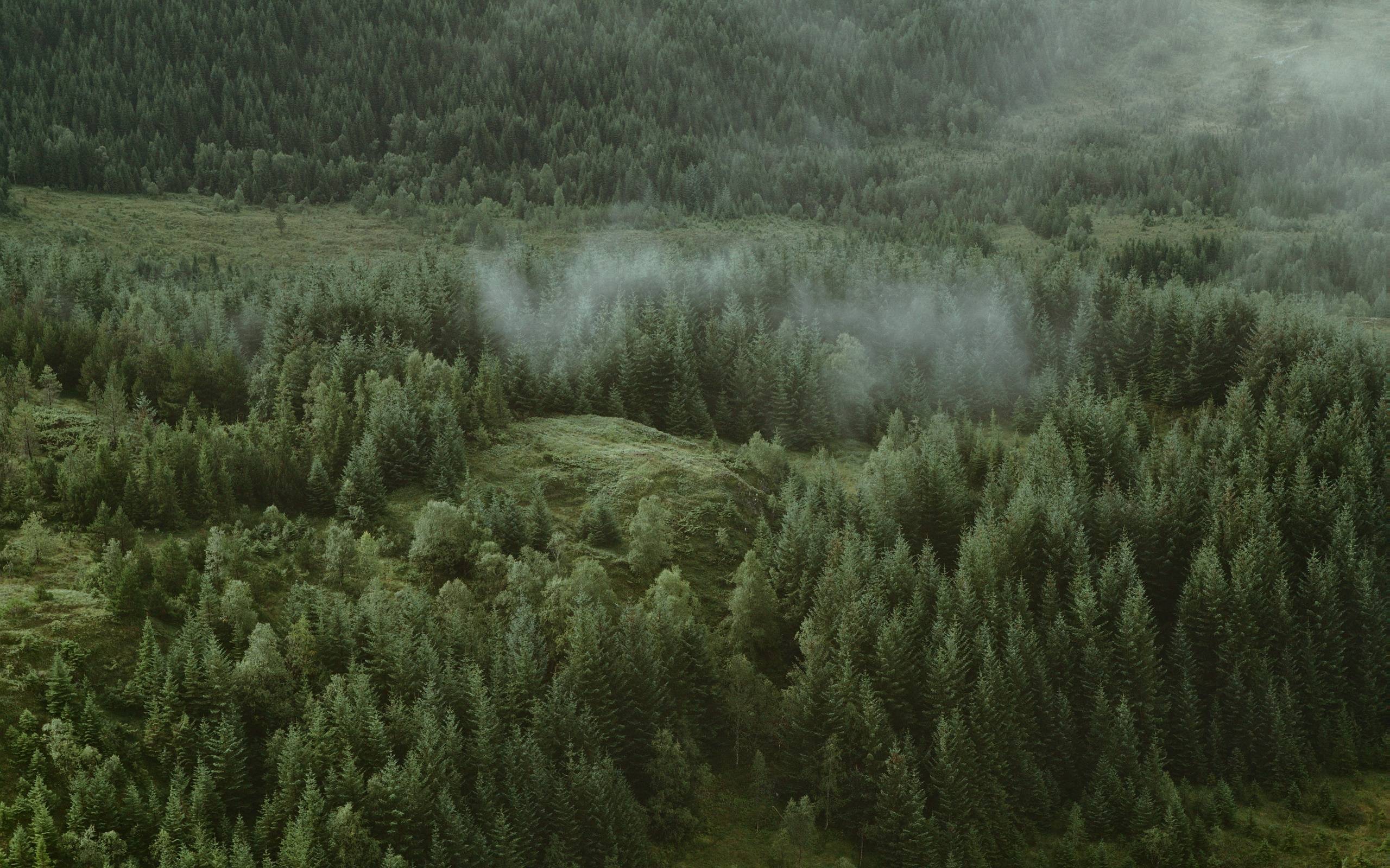 风景