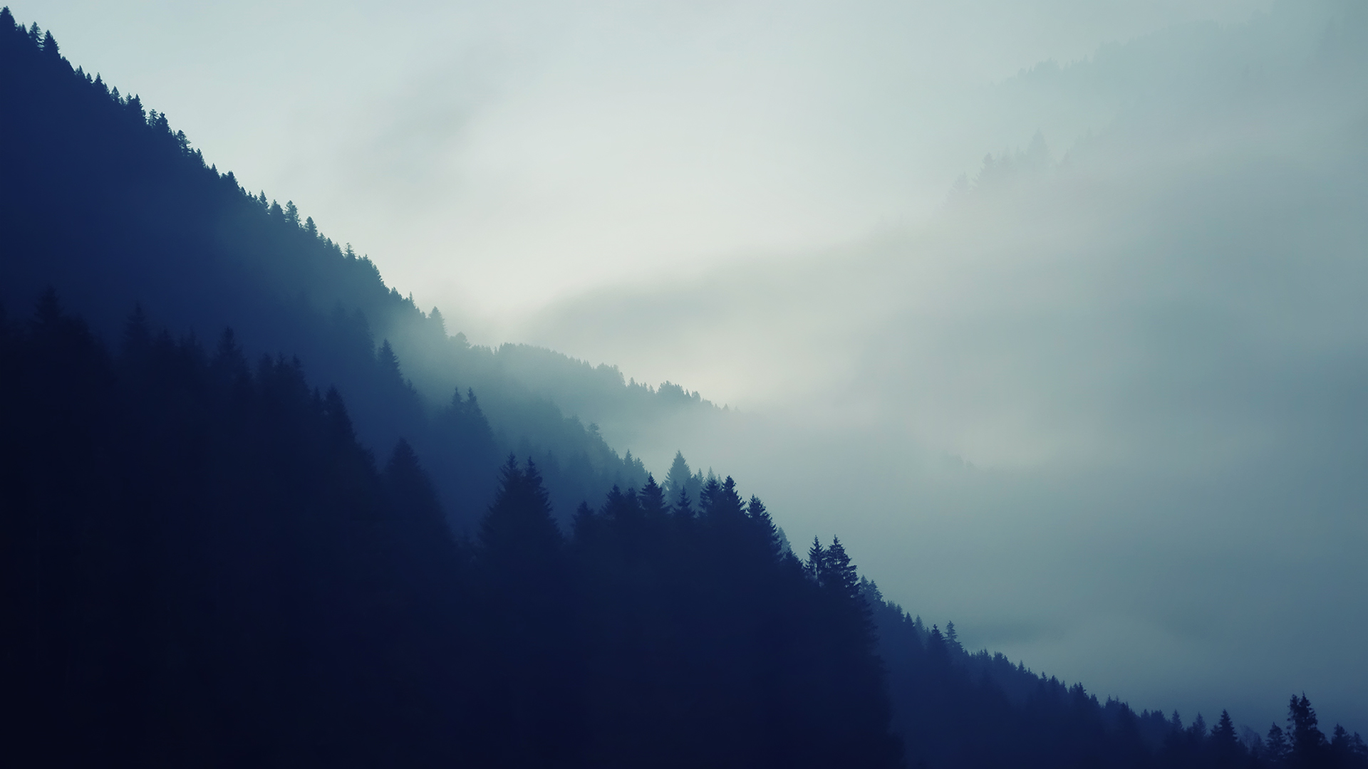 风景