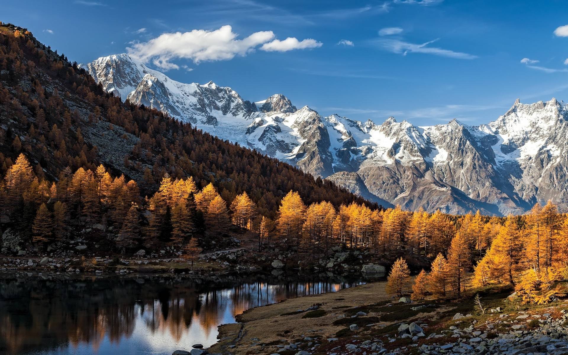 风景