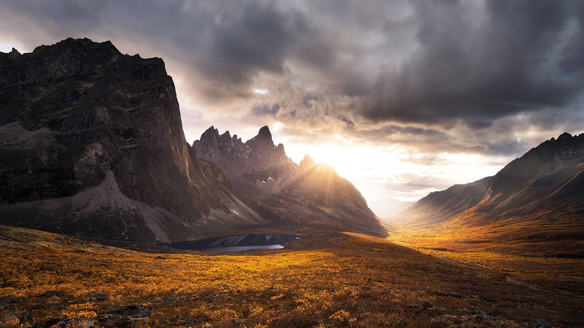 风景